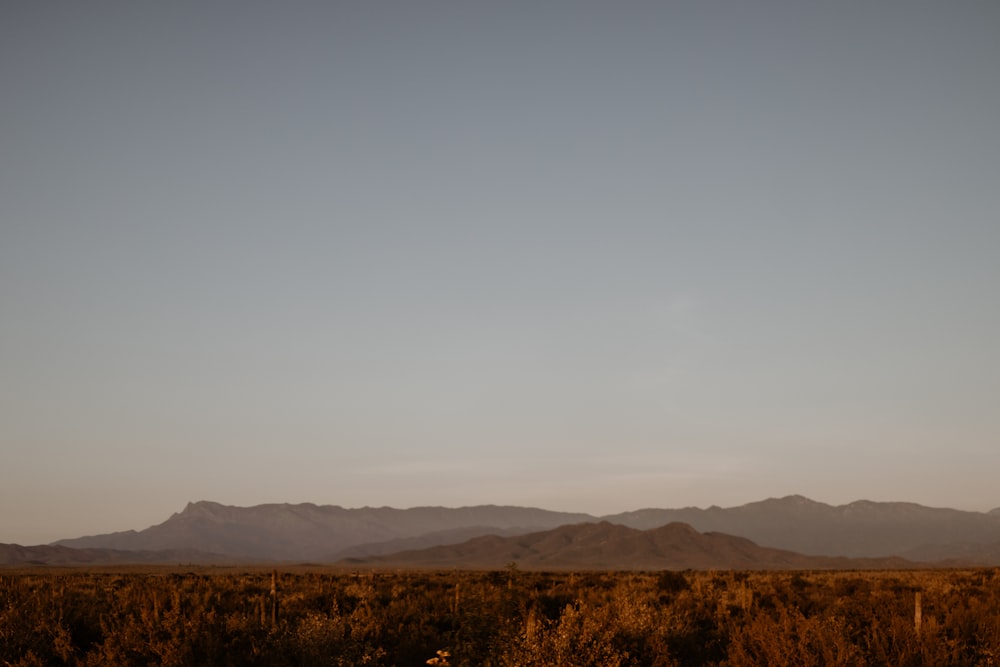 a landscape with hills in the background