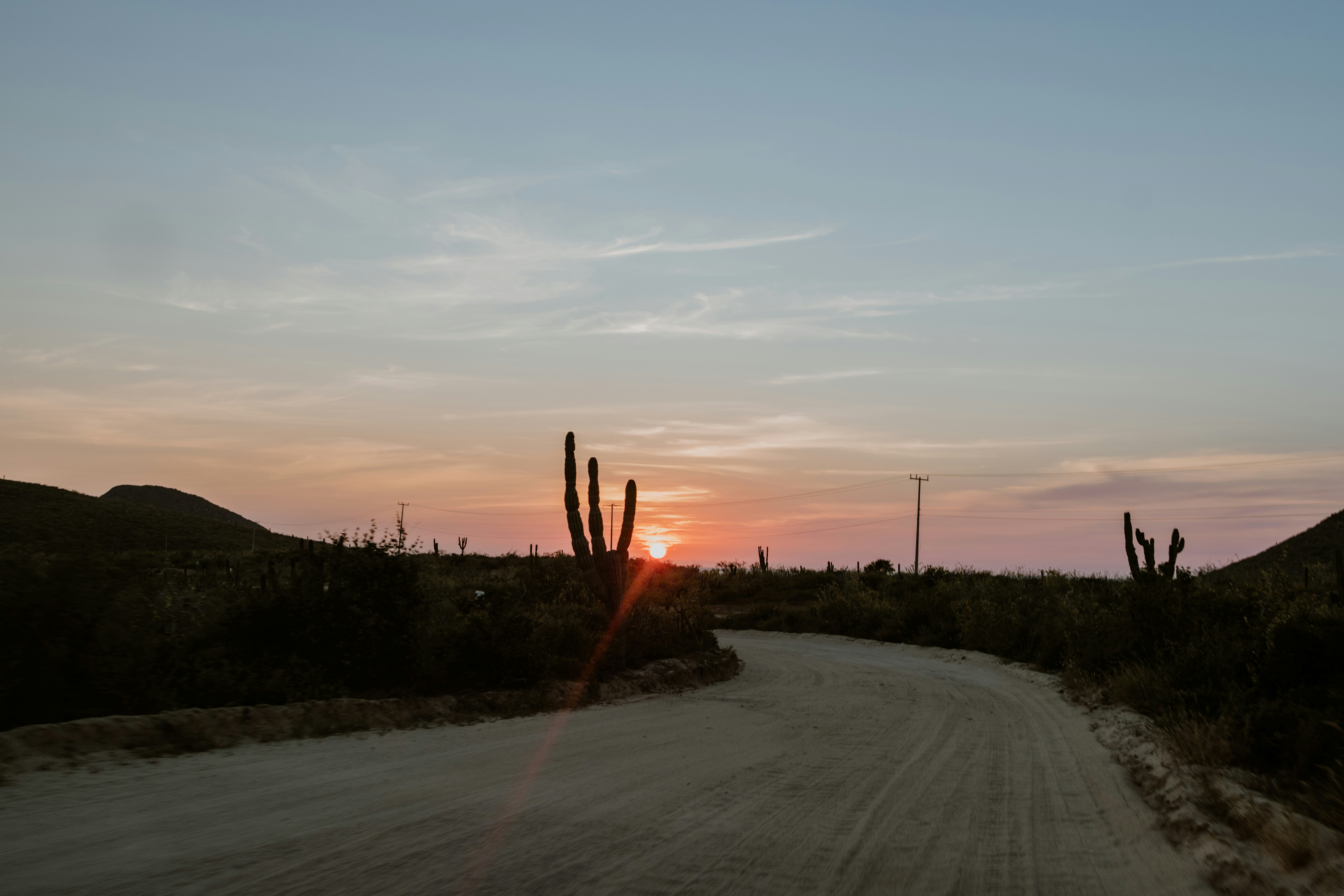 a road with cactus on the side, 