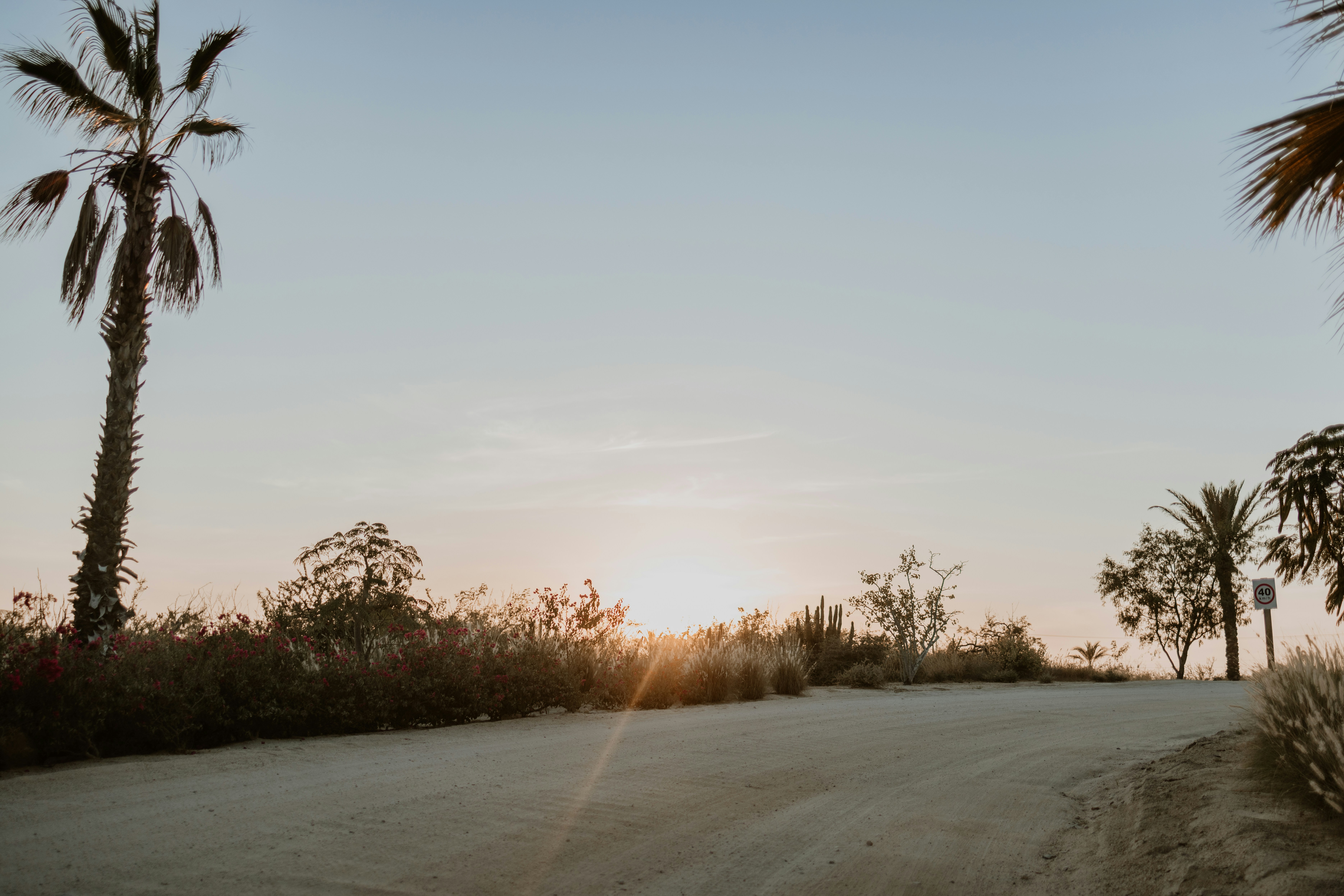 Photo by joshwithers