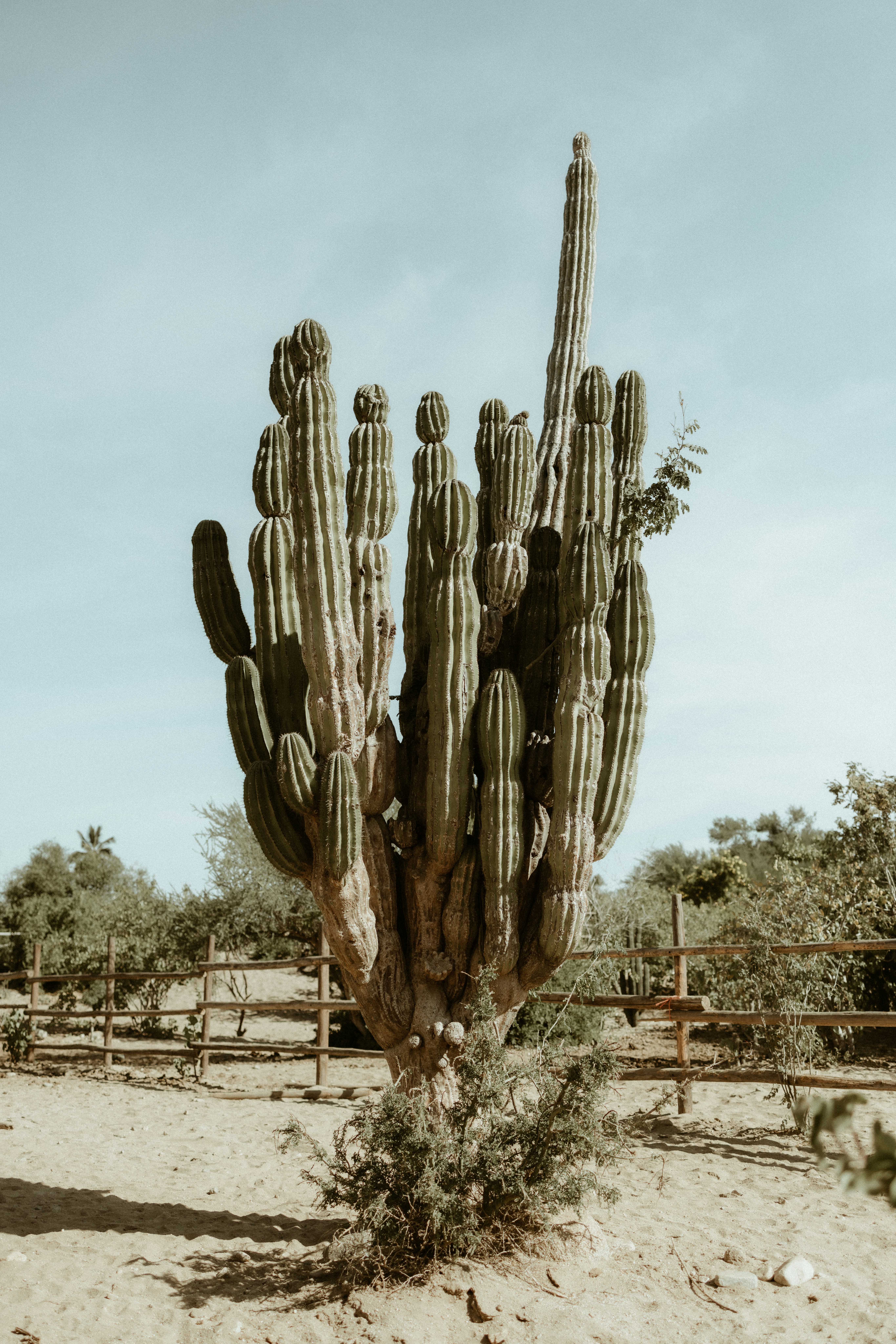 Photo by joshwithers