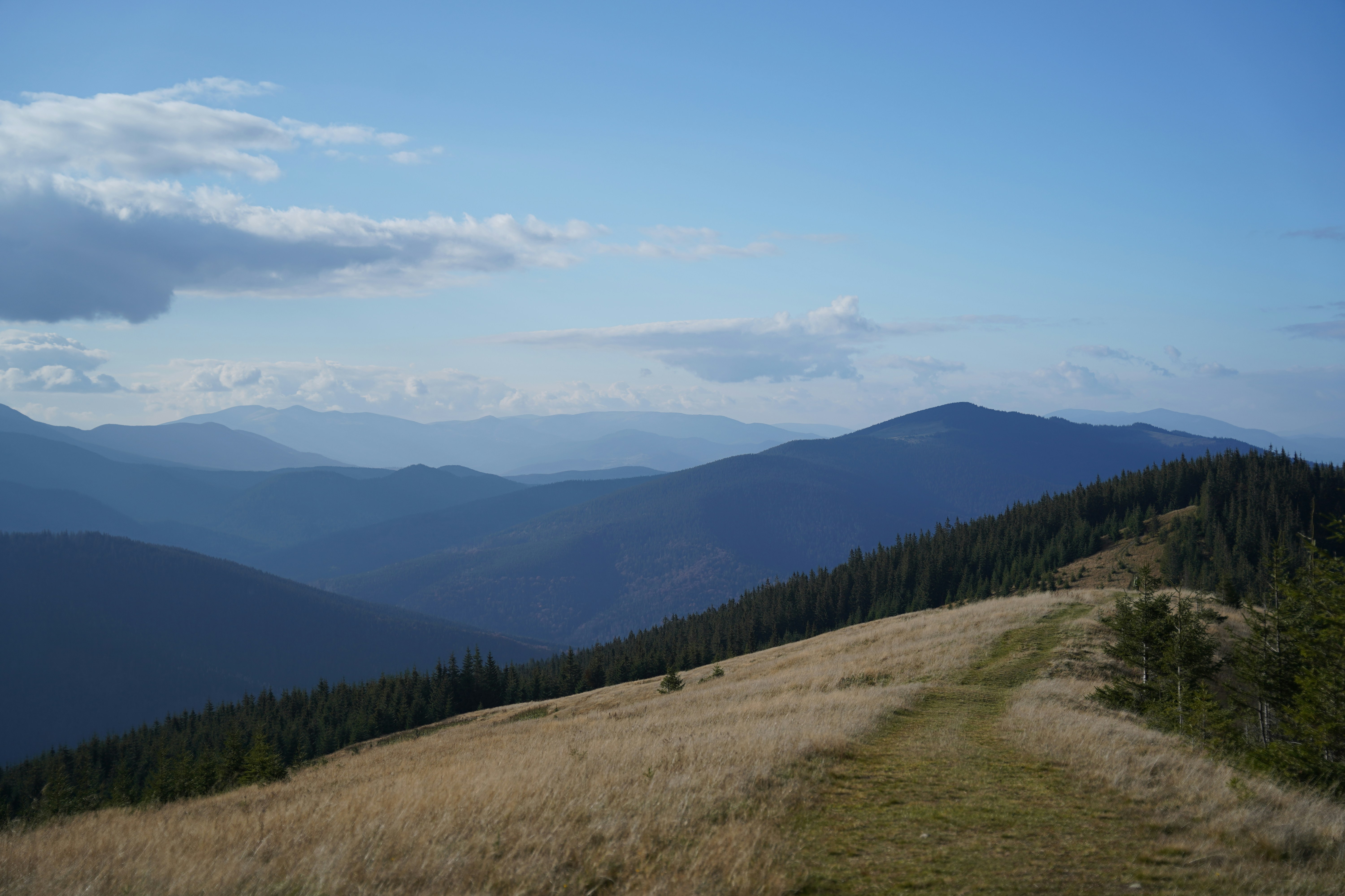 a grassy hill with trees and mountains in the background