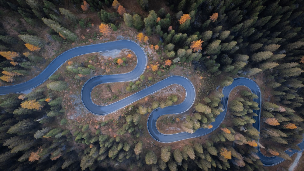 a blue road with a road and trees