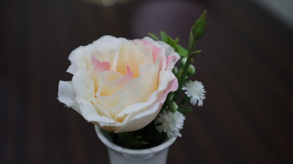 a white and pink flower