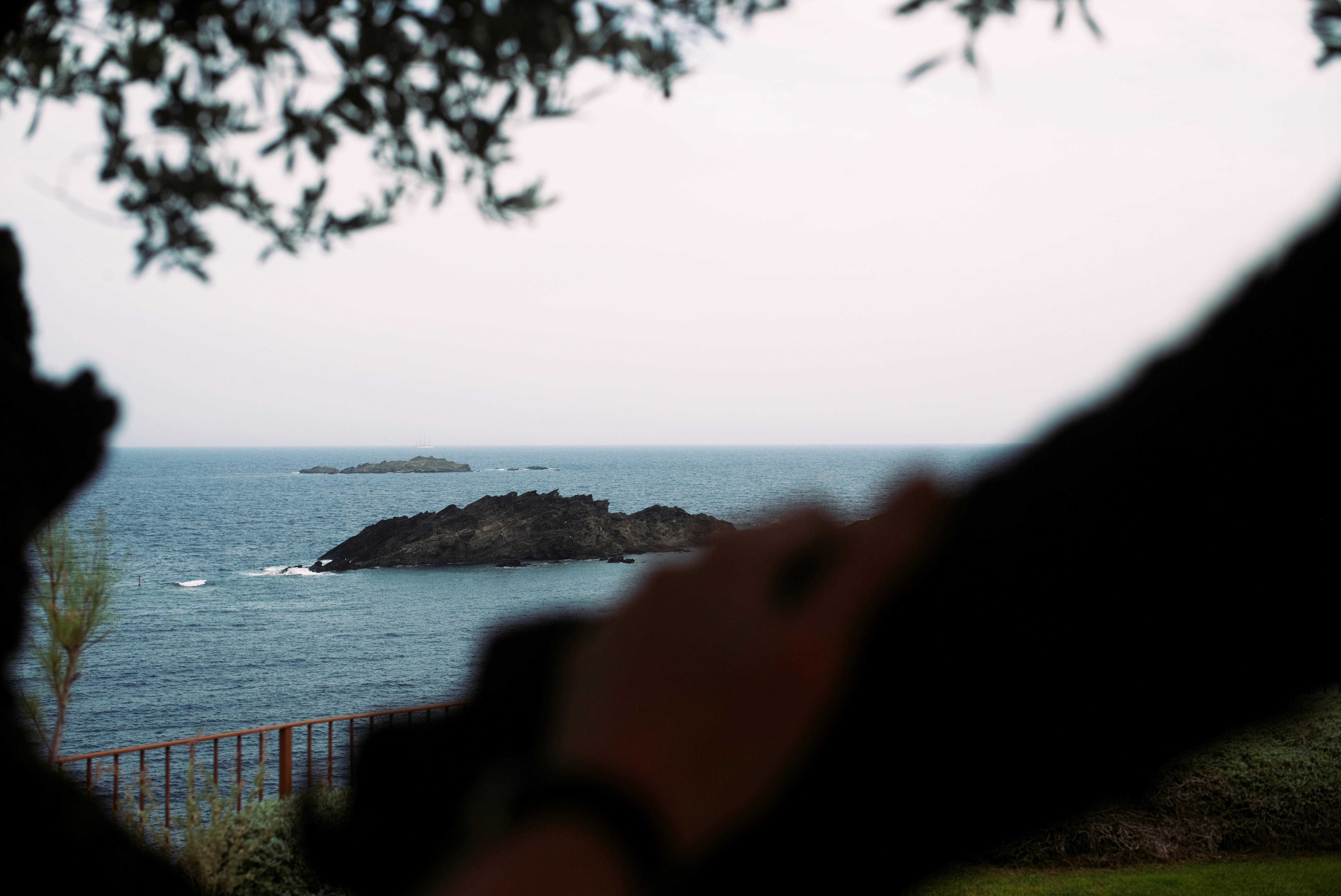 a person's head looking out over a body of water