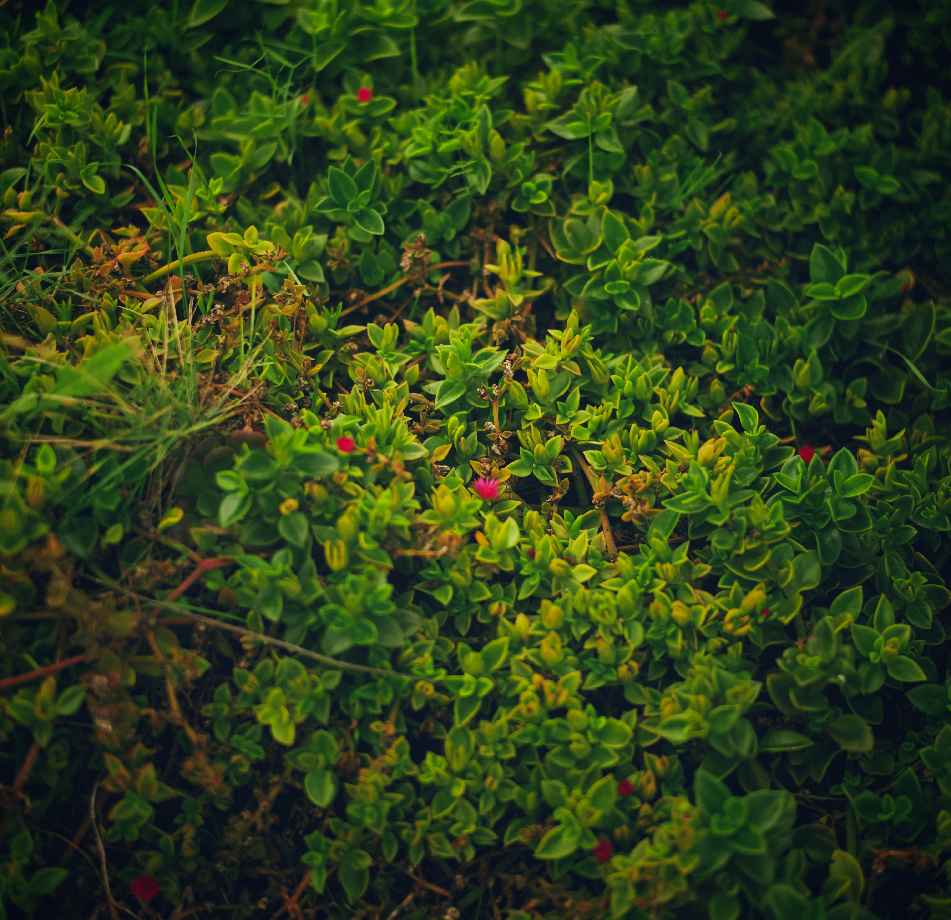 Photo by vilinskyy