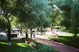 A park setting with large trees providing shade and a paved walkway. People are walking and engaging in recreational activities. Sunlight filters through the leaves, creating patterns of light and shadow on the ground.