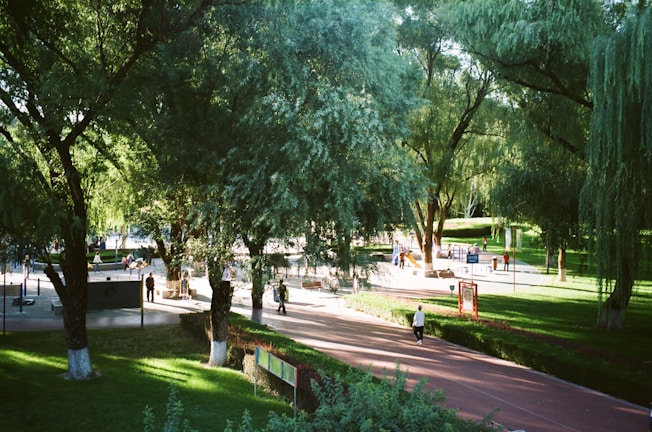 A park setting with large trees providing shade and a paved walkway. People are walking and engaging in recreational activities. Sunlight filters through the leaves, creating patterns of light and shadow on the ground.
