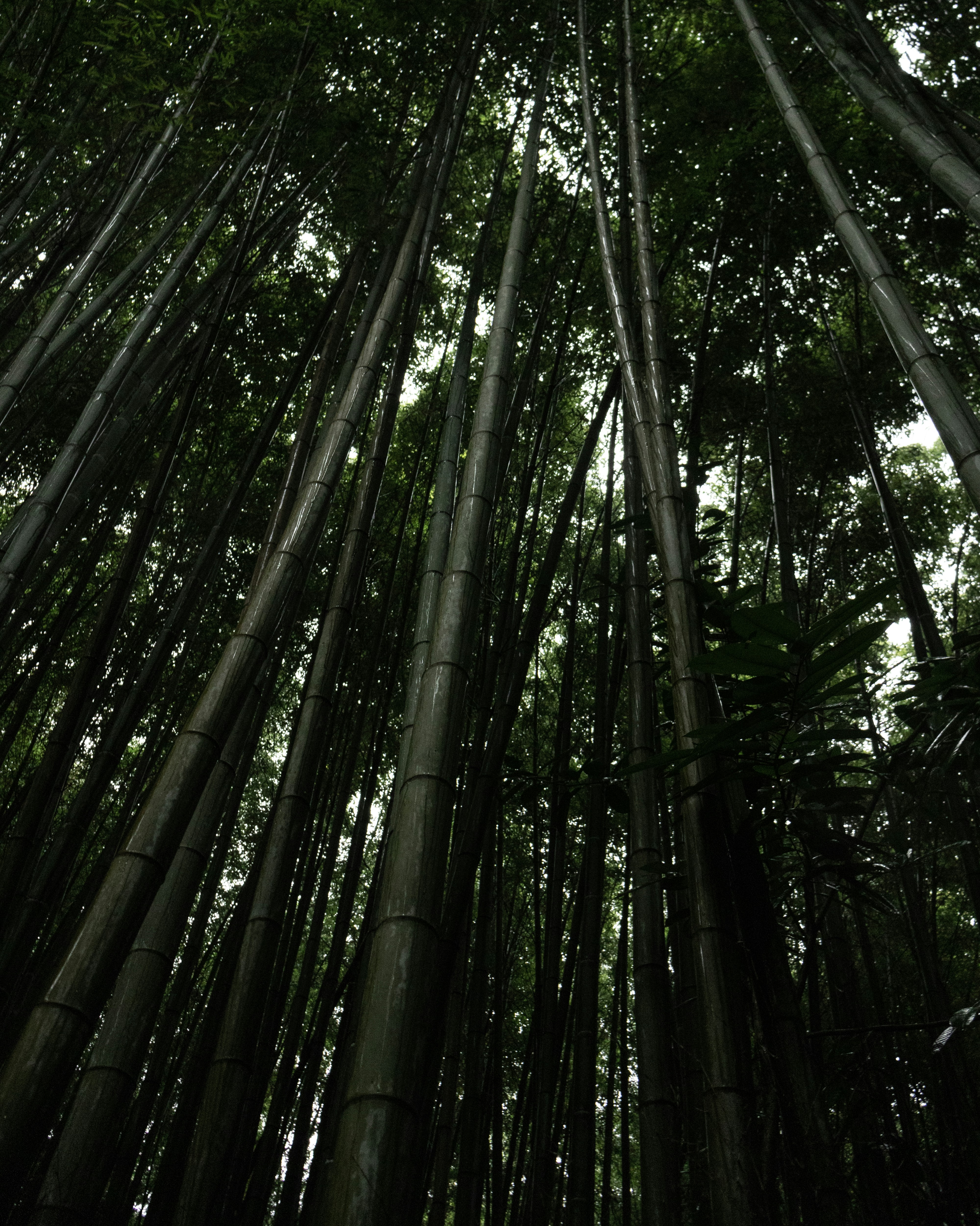 Photo by michael_surazhsky