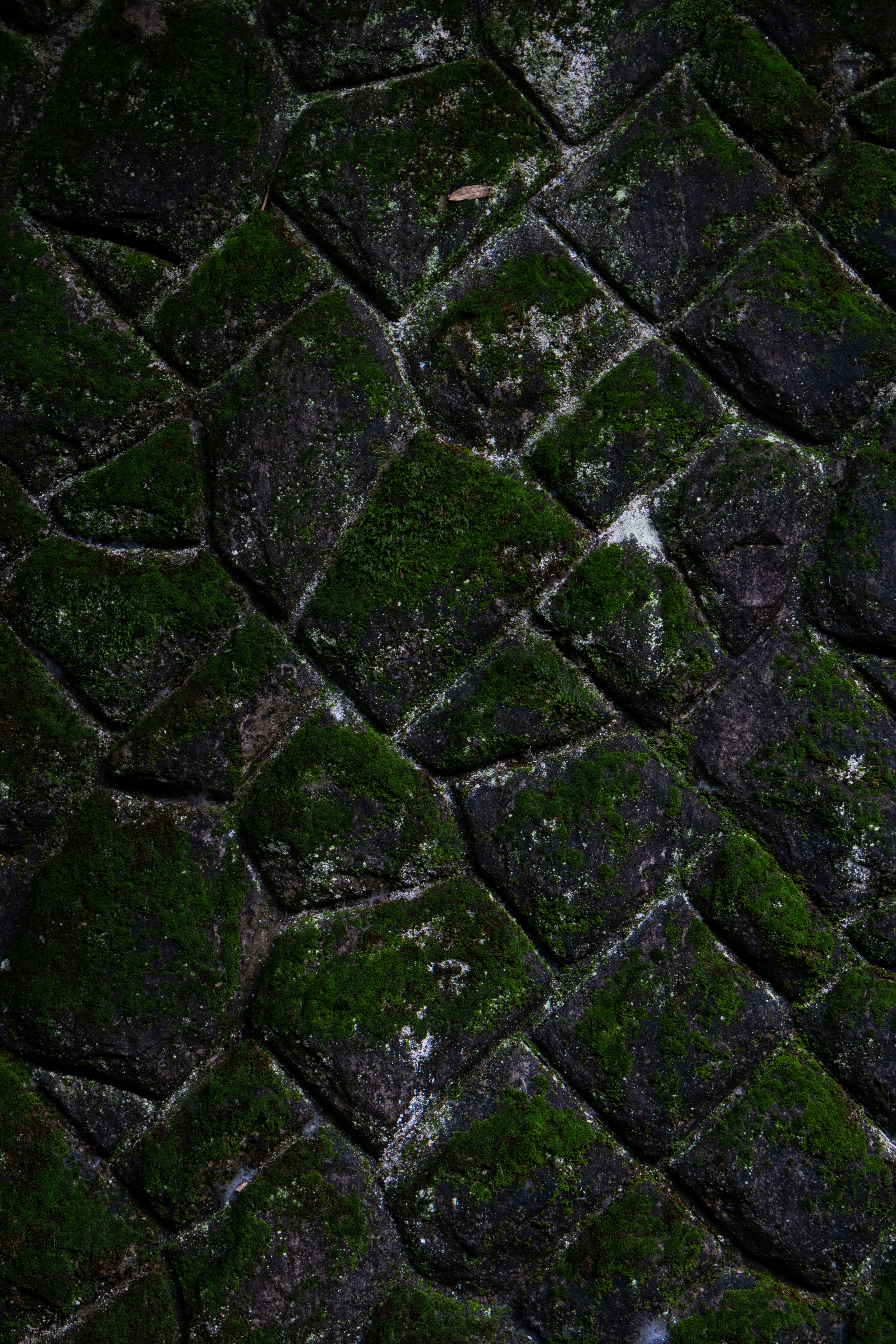 Photo by michael_surazhsky