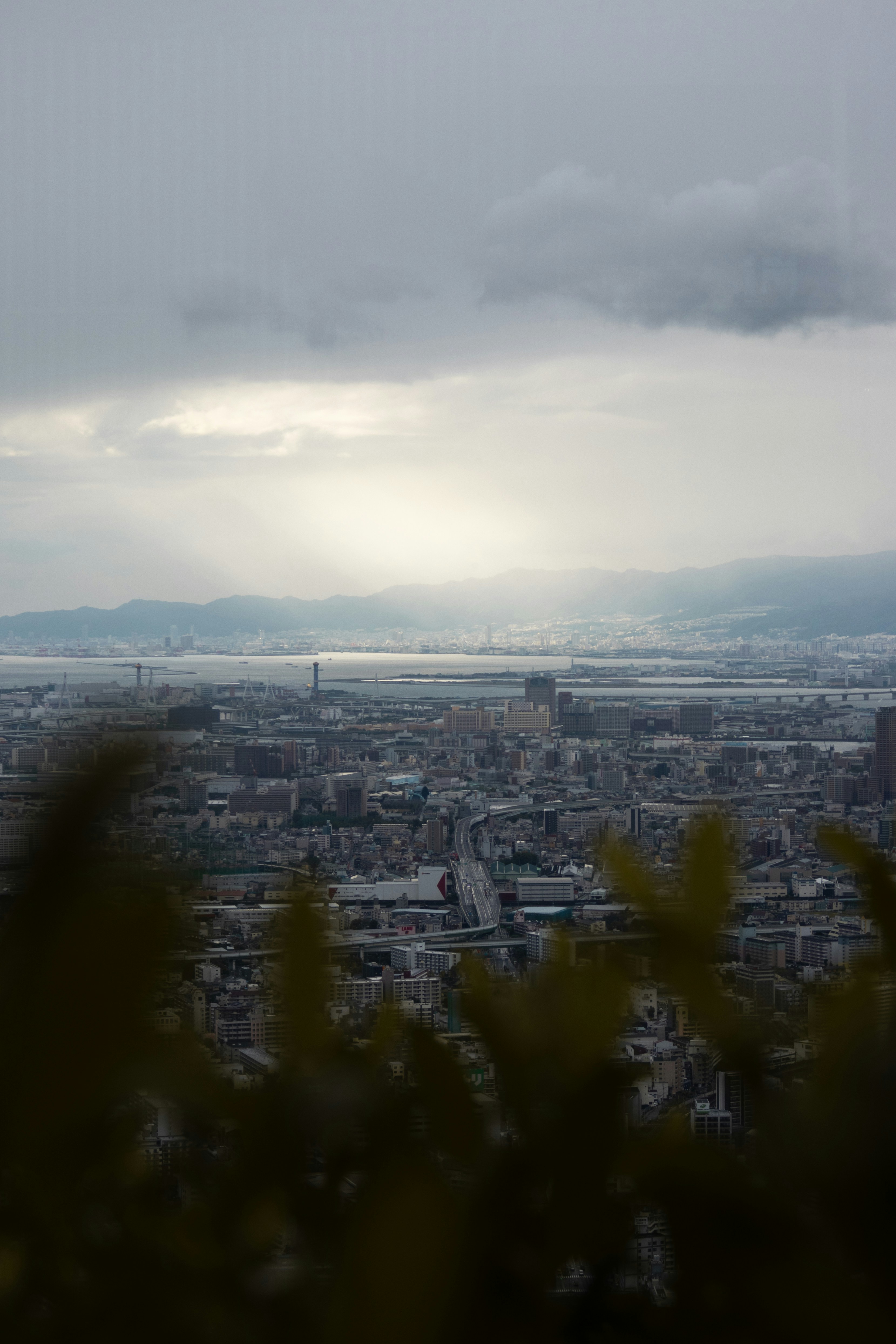 Photo by michael_surazhsky