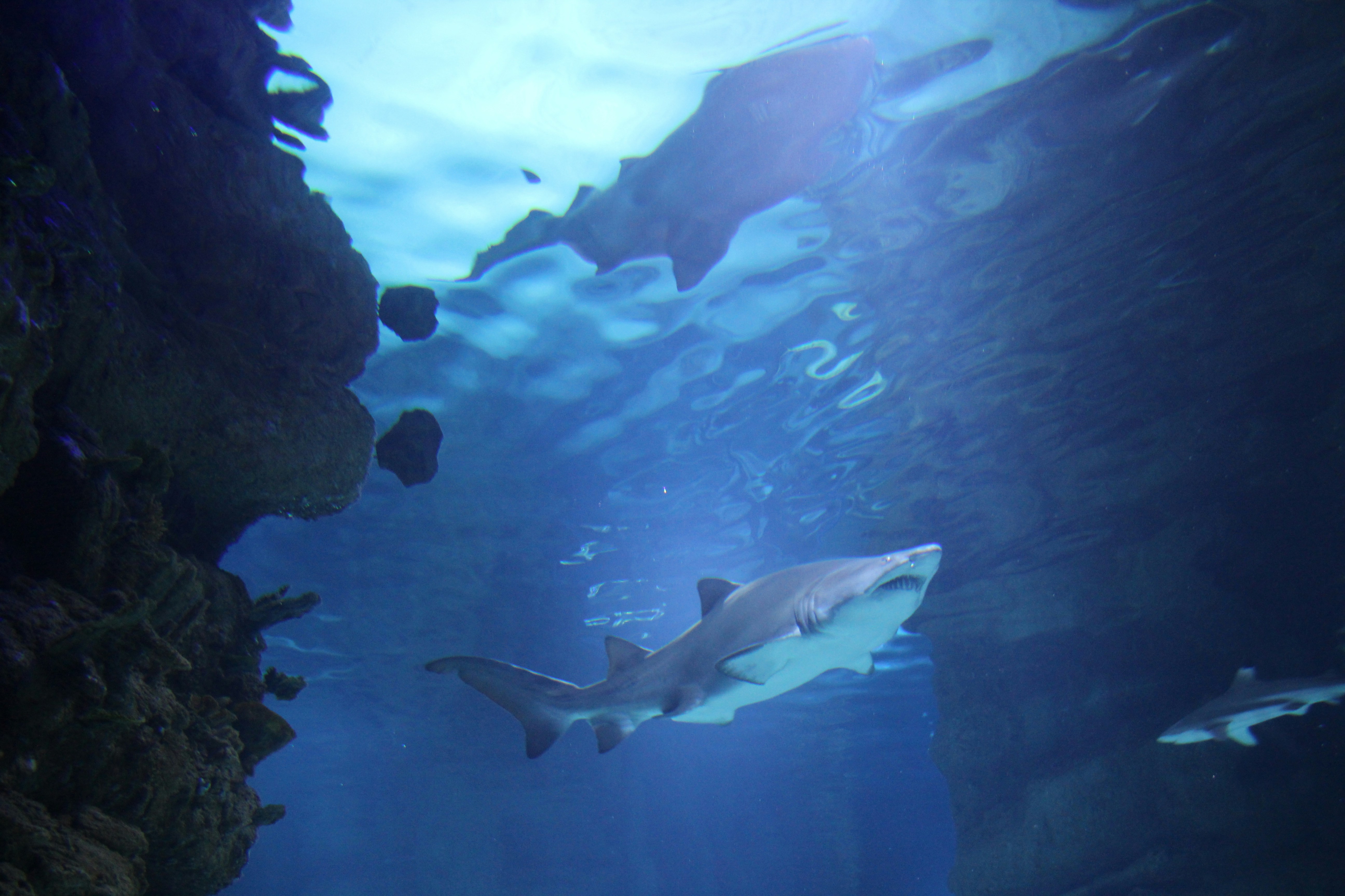 Photo by tashakostyuk