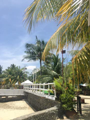 A friendly recruiter interviewing a candidate with a tropical island backdrop.