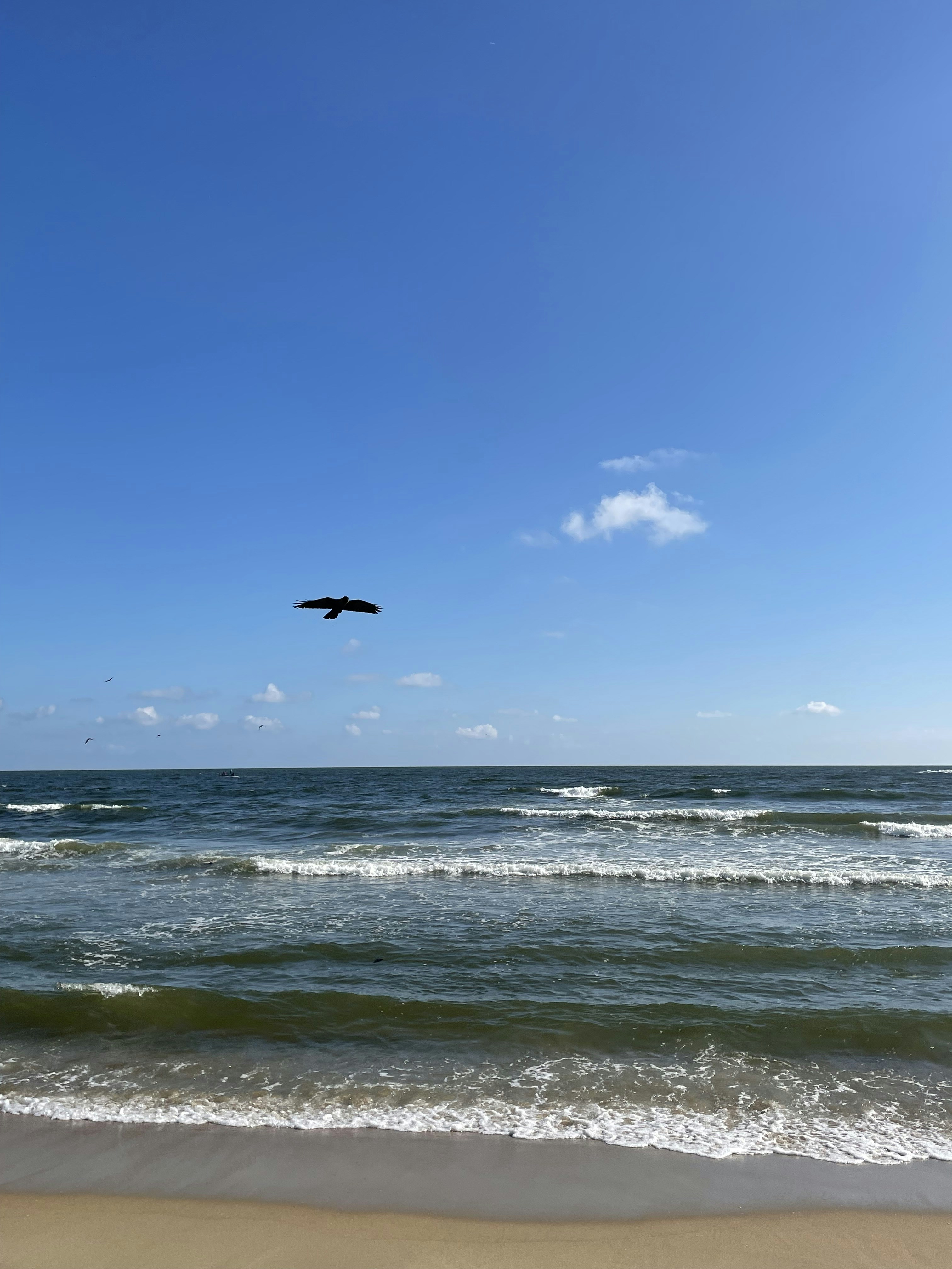 Photo by evangeline19