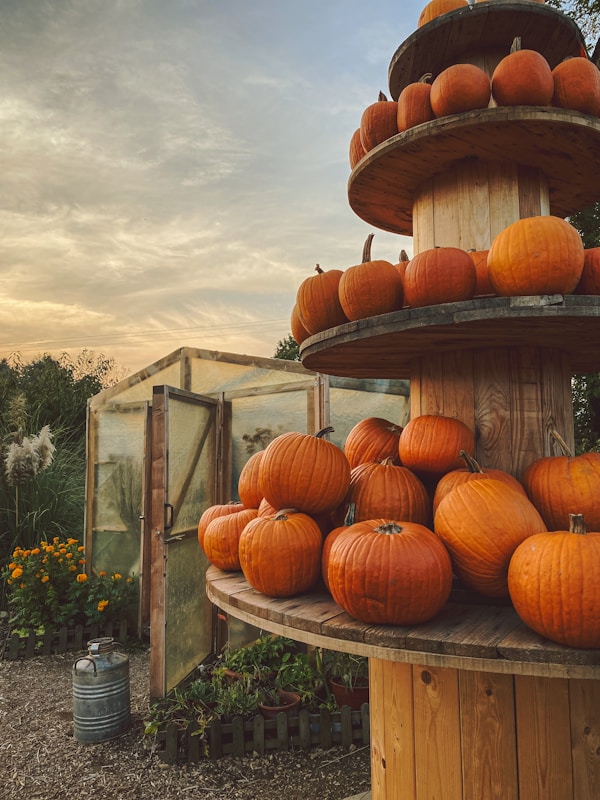 Nerviano Climate Guide: Best Months to Visit and Seasons to Explore