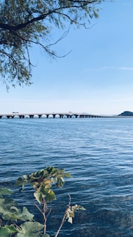 A peaceful view of Puget Sound from the West Slope neighborhood, with the Narrows Bridge in the distance under a clear blue sky.
