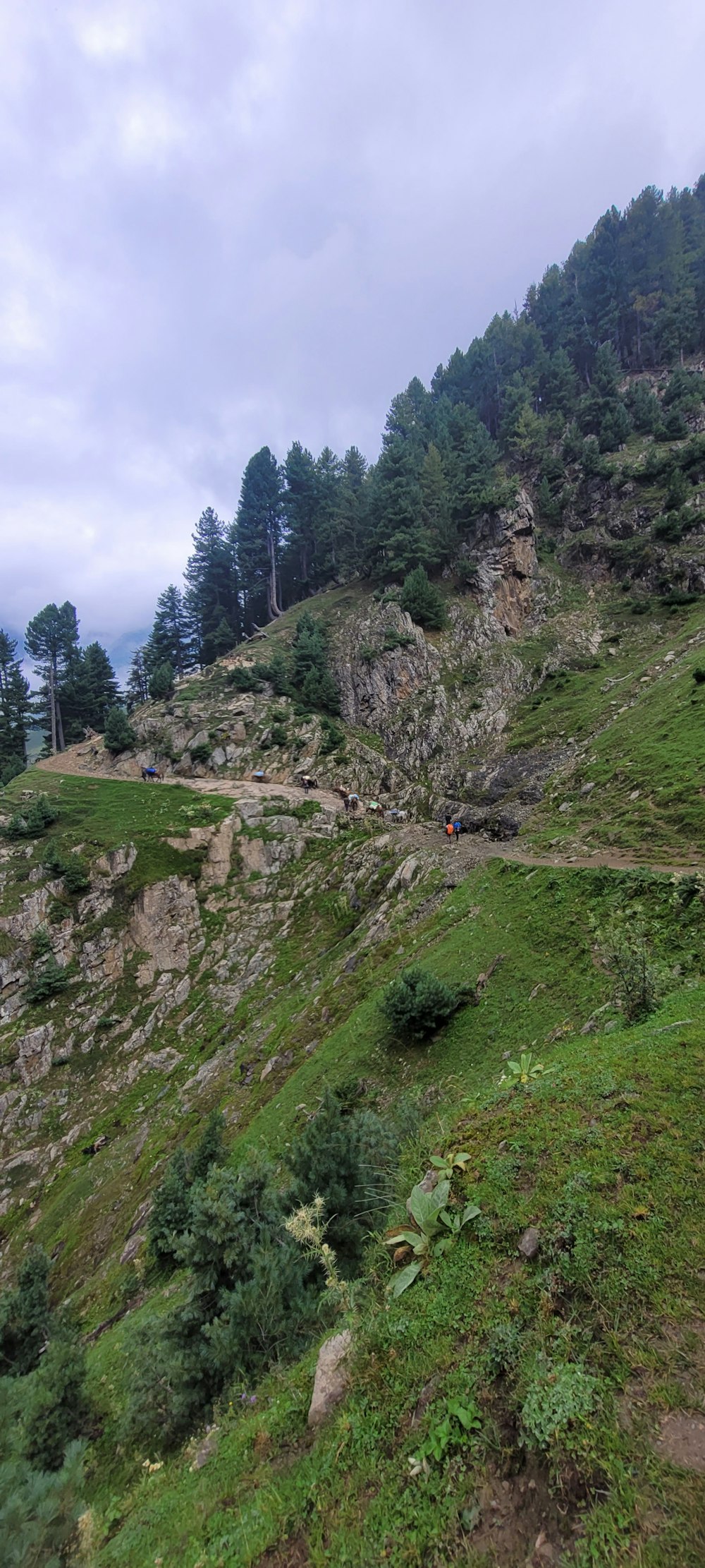 a group of people walking on a rocky hill