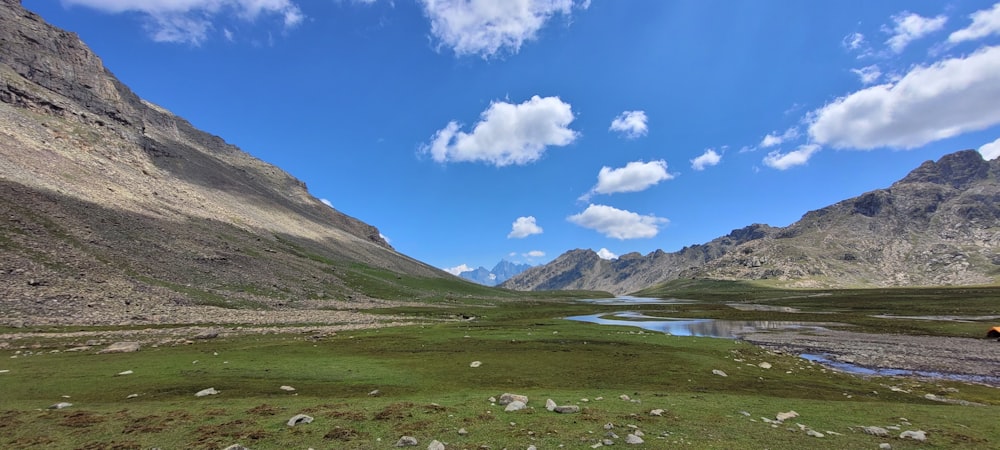 a grassy area with a body of water in the distance