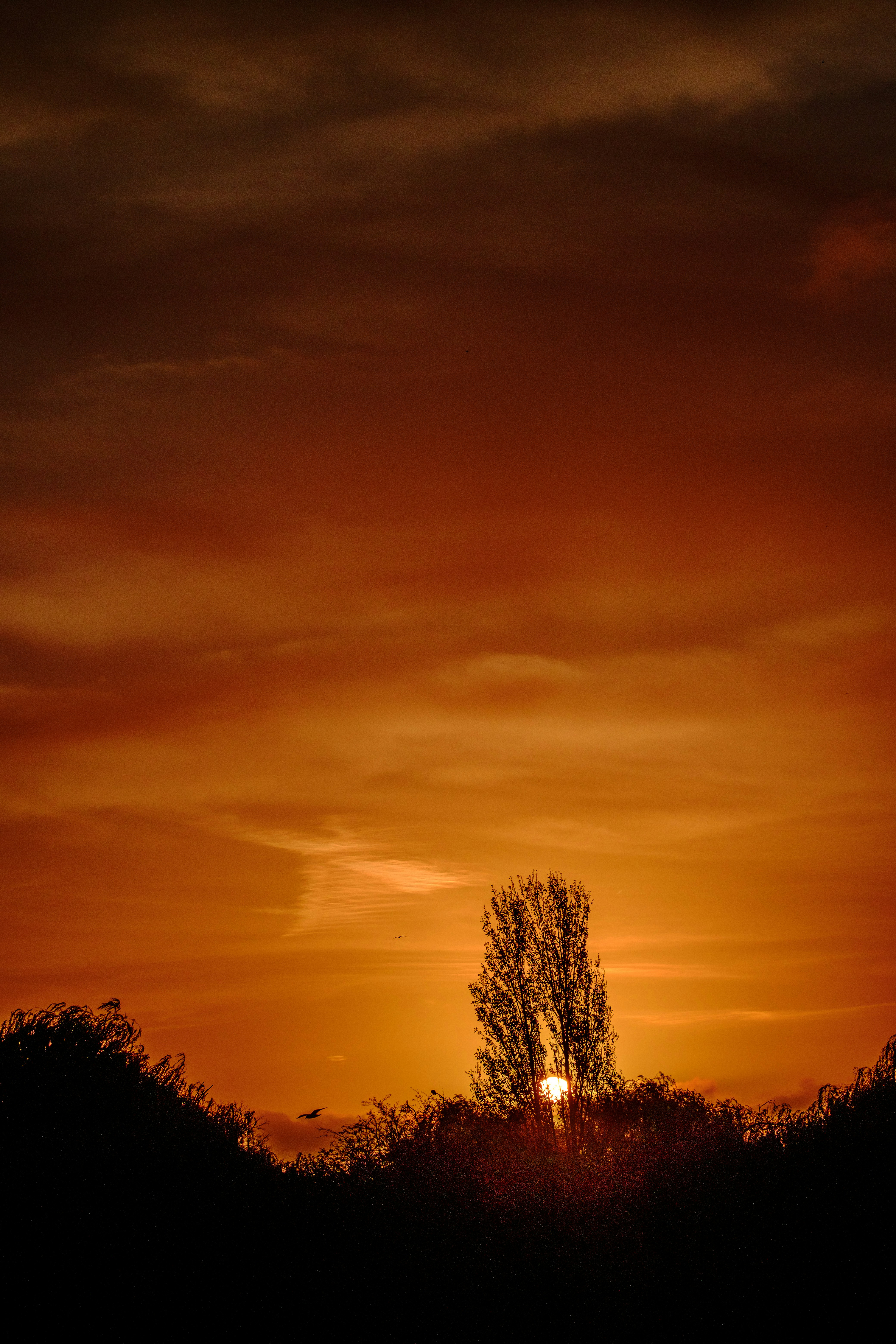 Photo by grievek1610begur