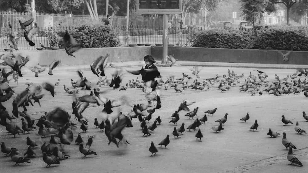 a person sitting on a bench surrounded by pigeons