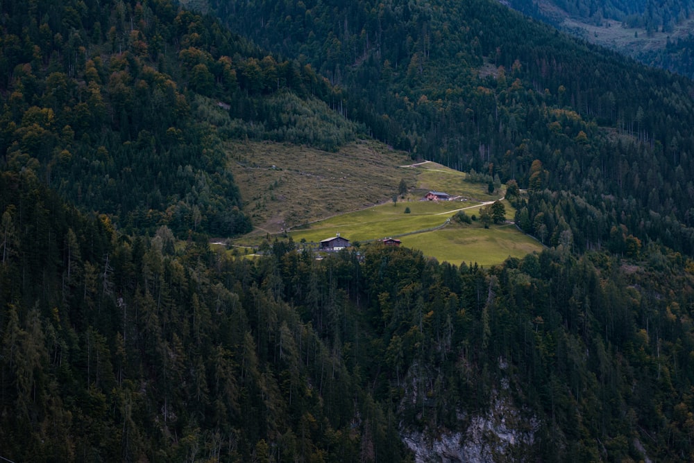 a landscape with trees and a road