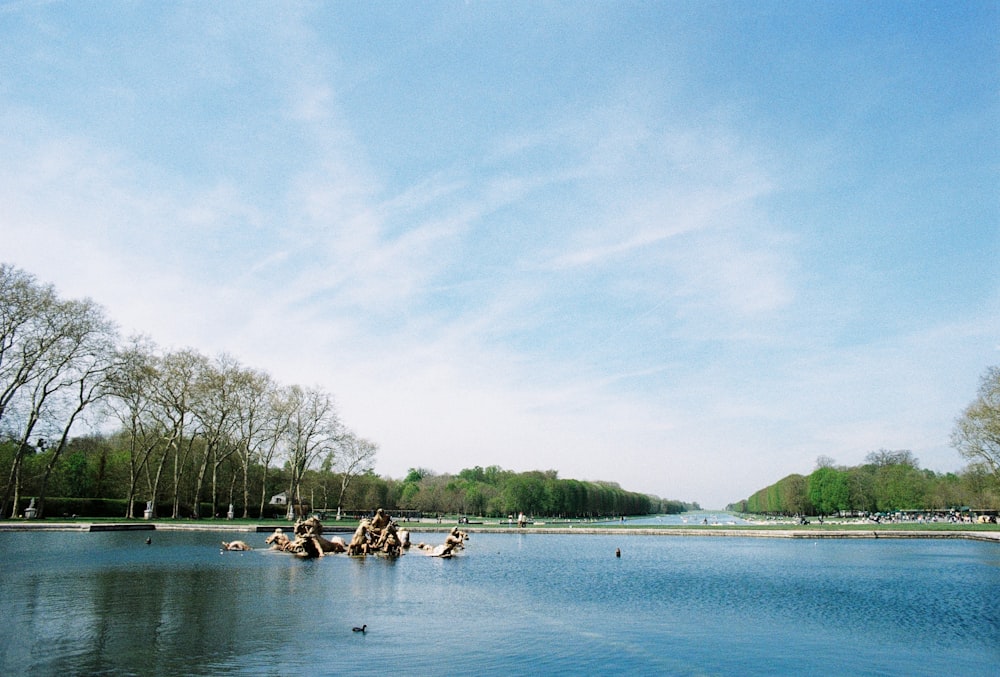 a group of people in a lake