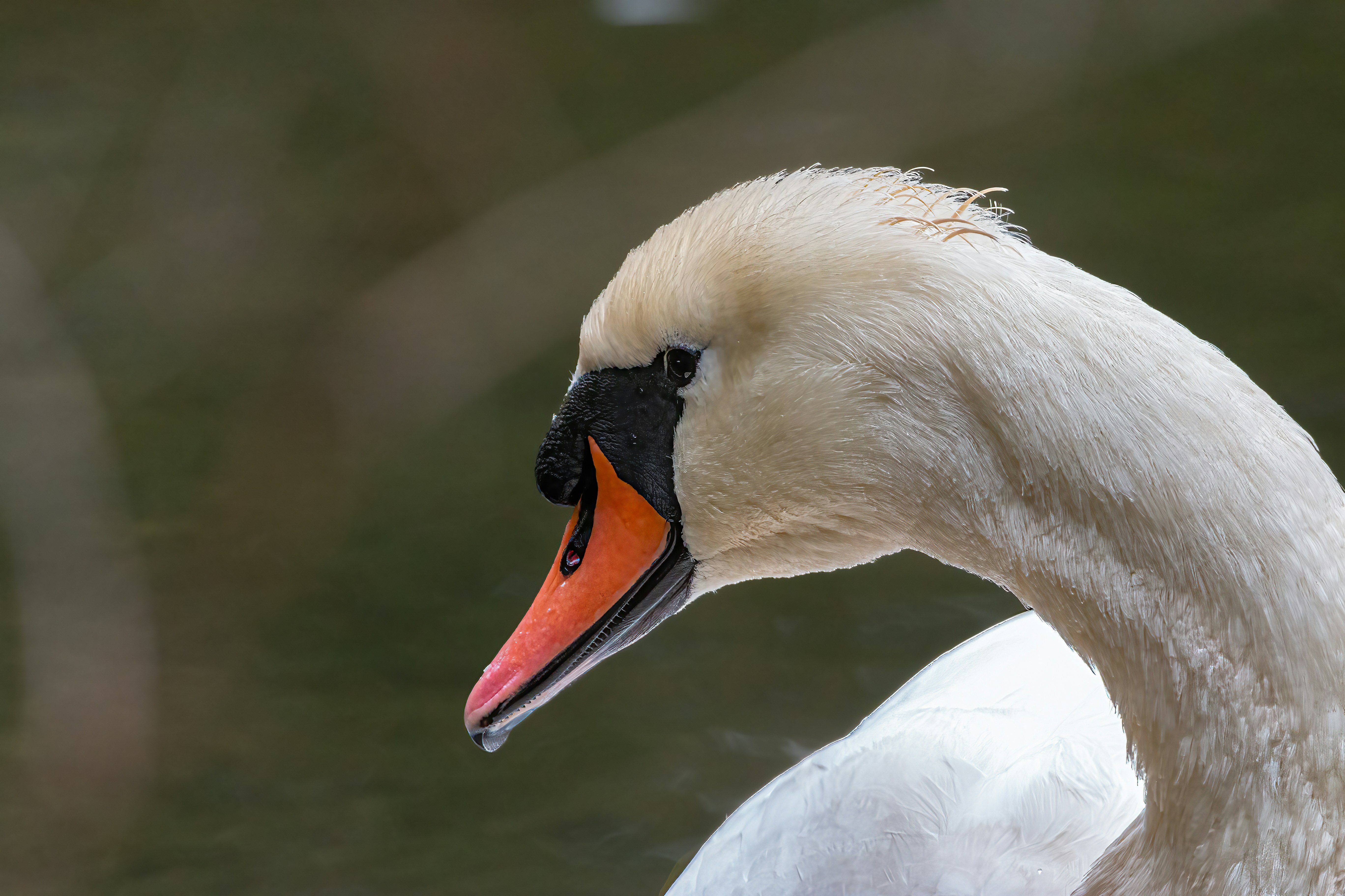 Afbeelding van Hoensbroek