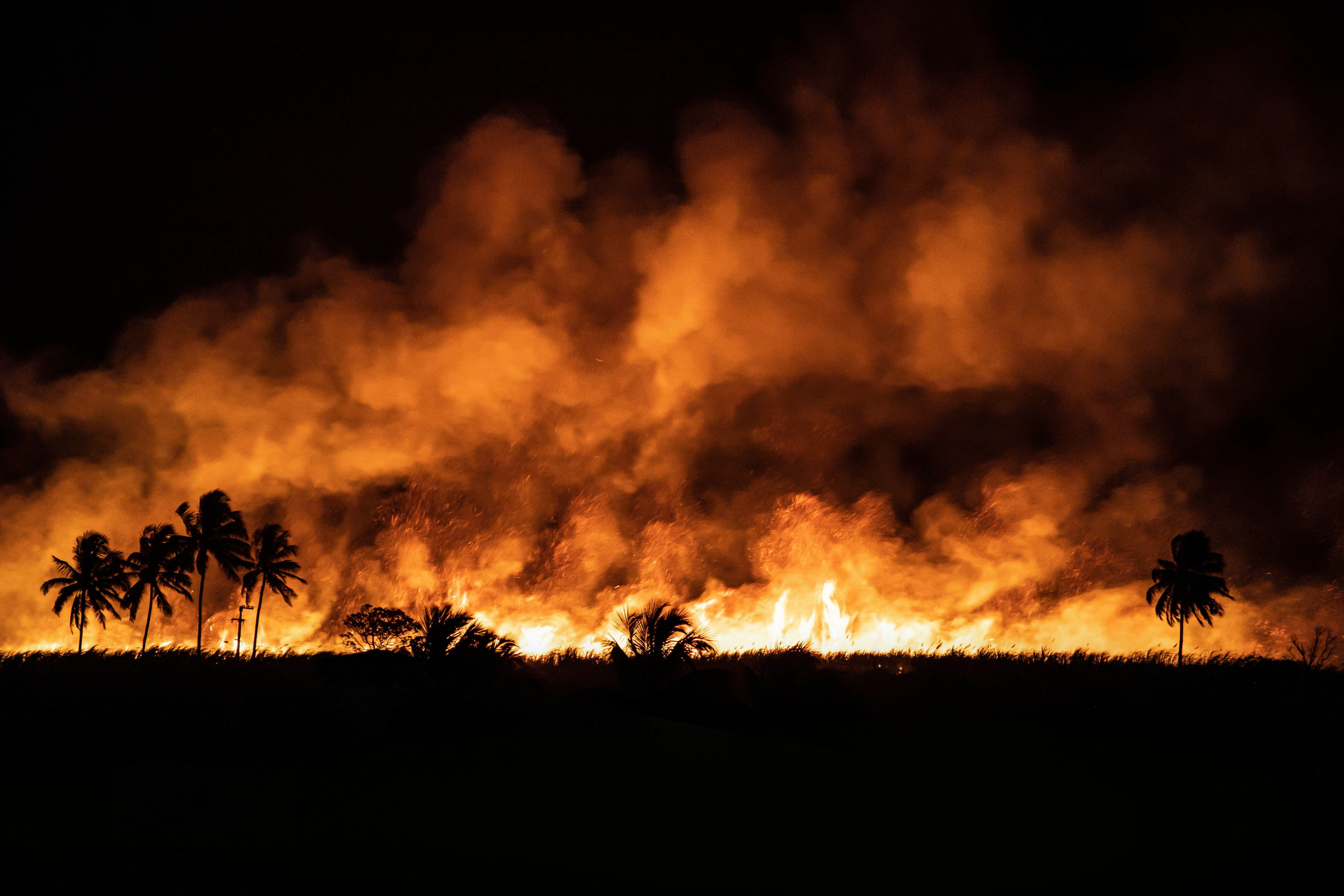 부산 산불 원인과 대응 방안 및 예방 방법