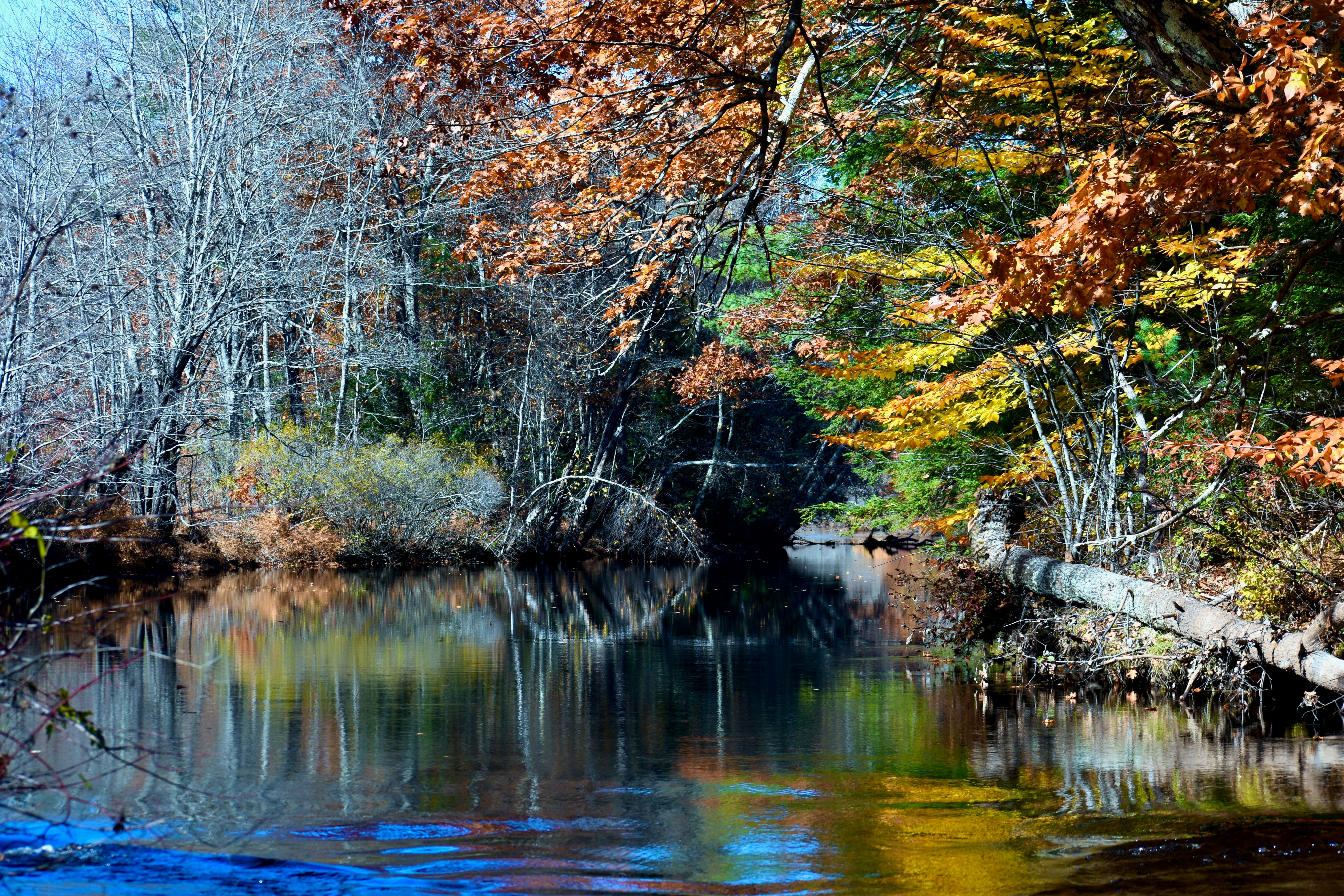 Photo by kellybrookme