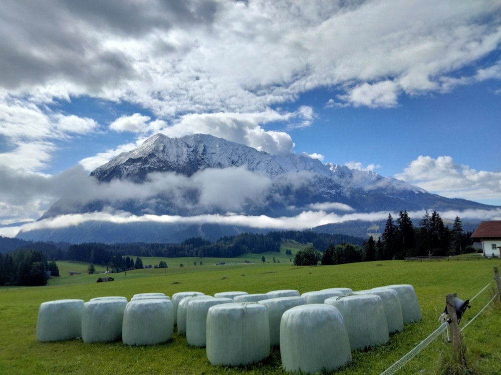 a field with a few large white balls in it and a mountain in the background