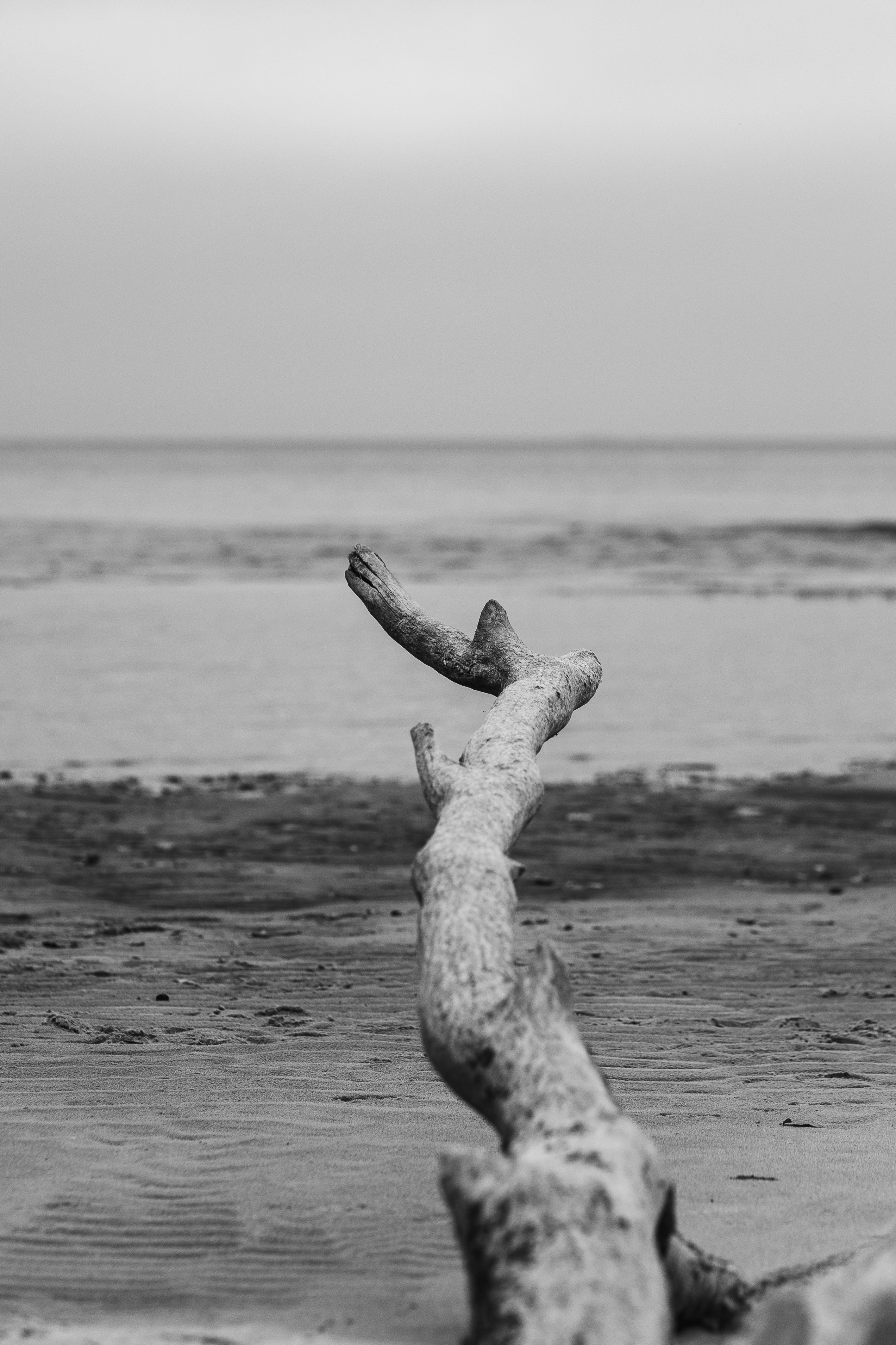 Photo by eugenechystiakov