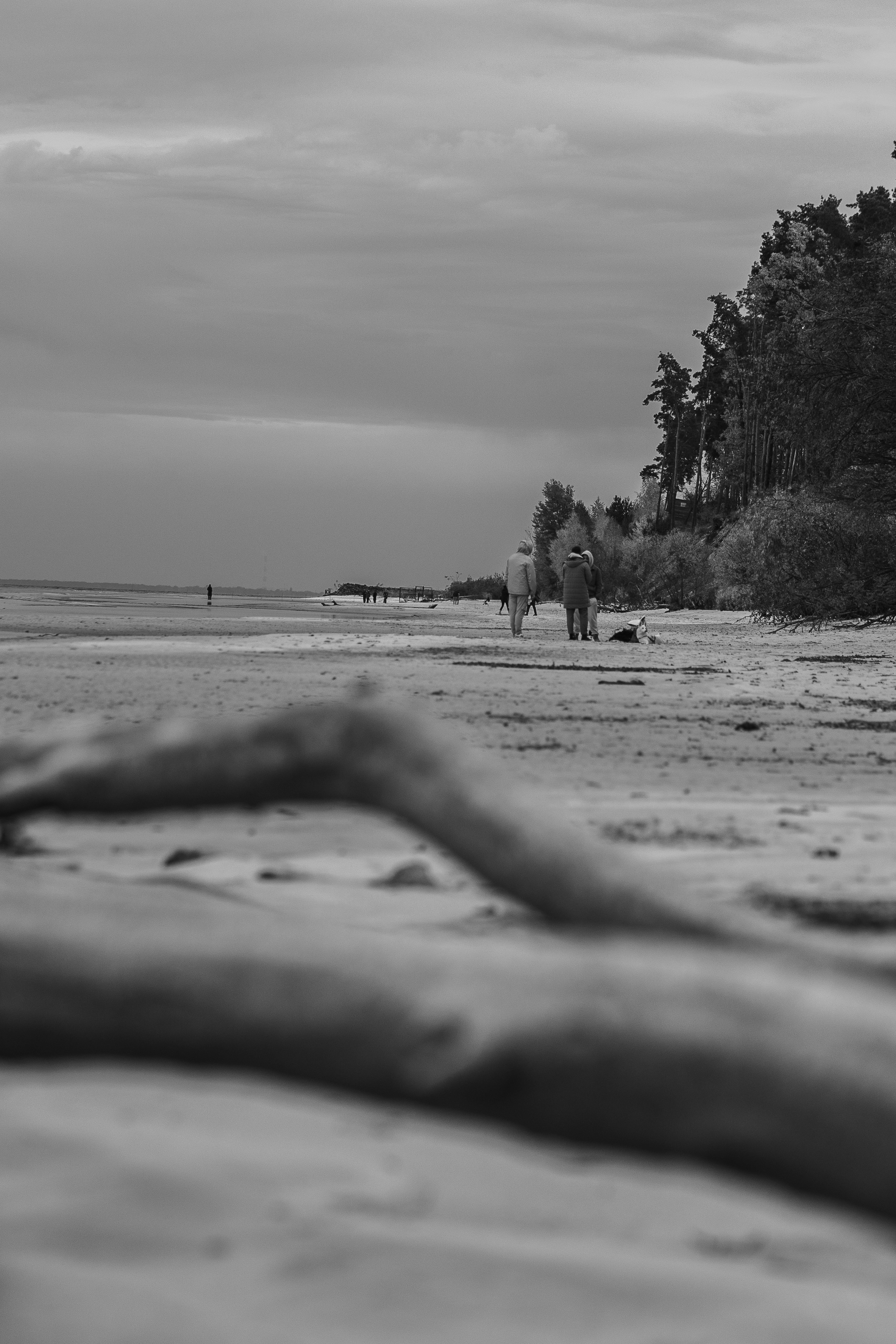 Photo by eugenechystiakov