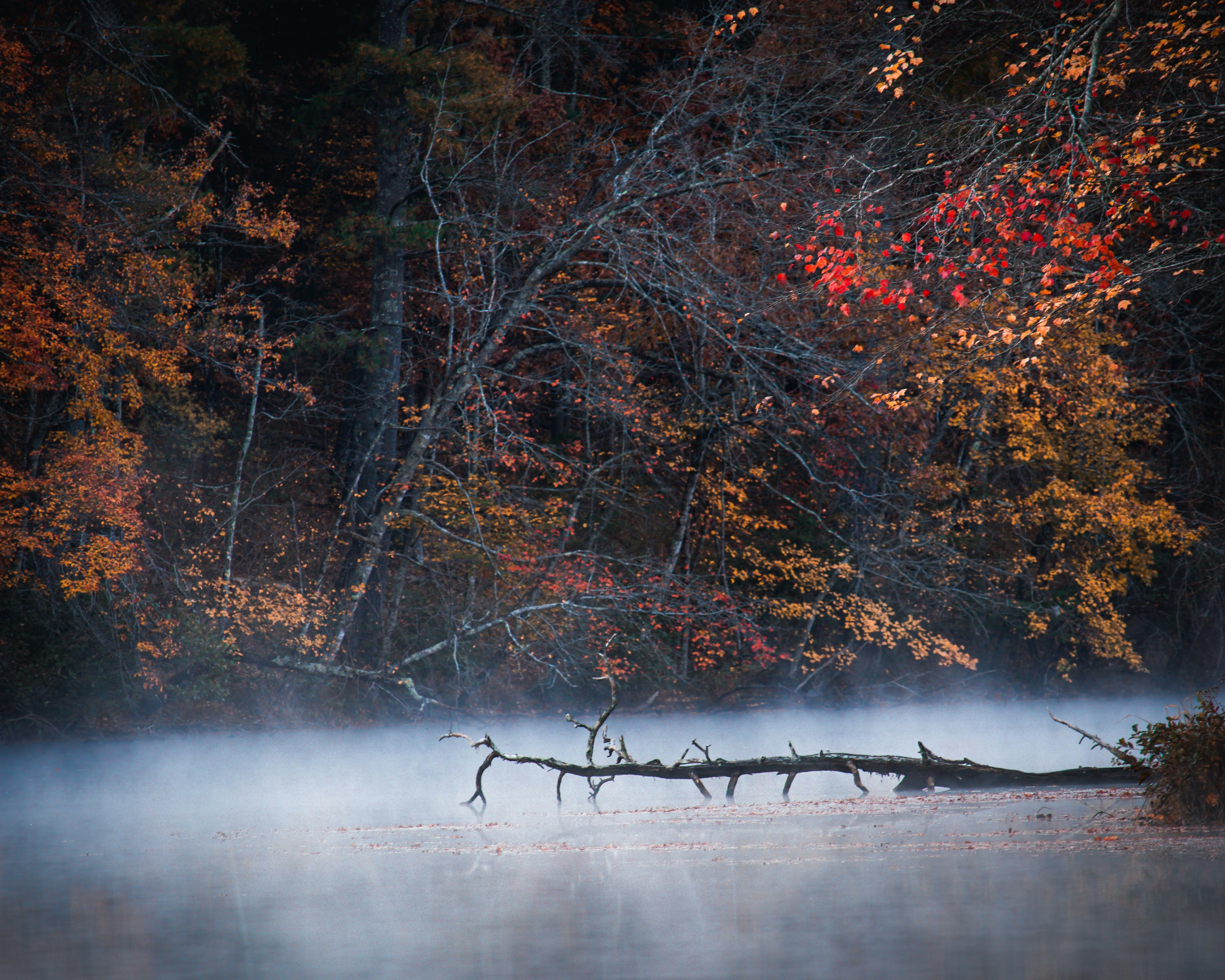 Photo by brice_cooper18