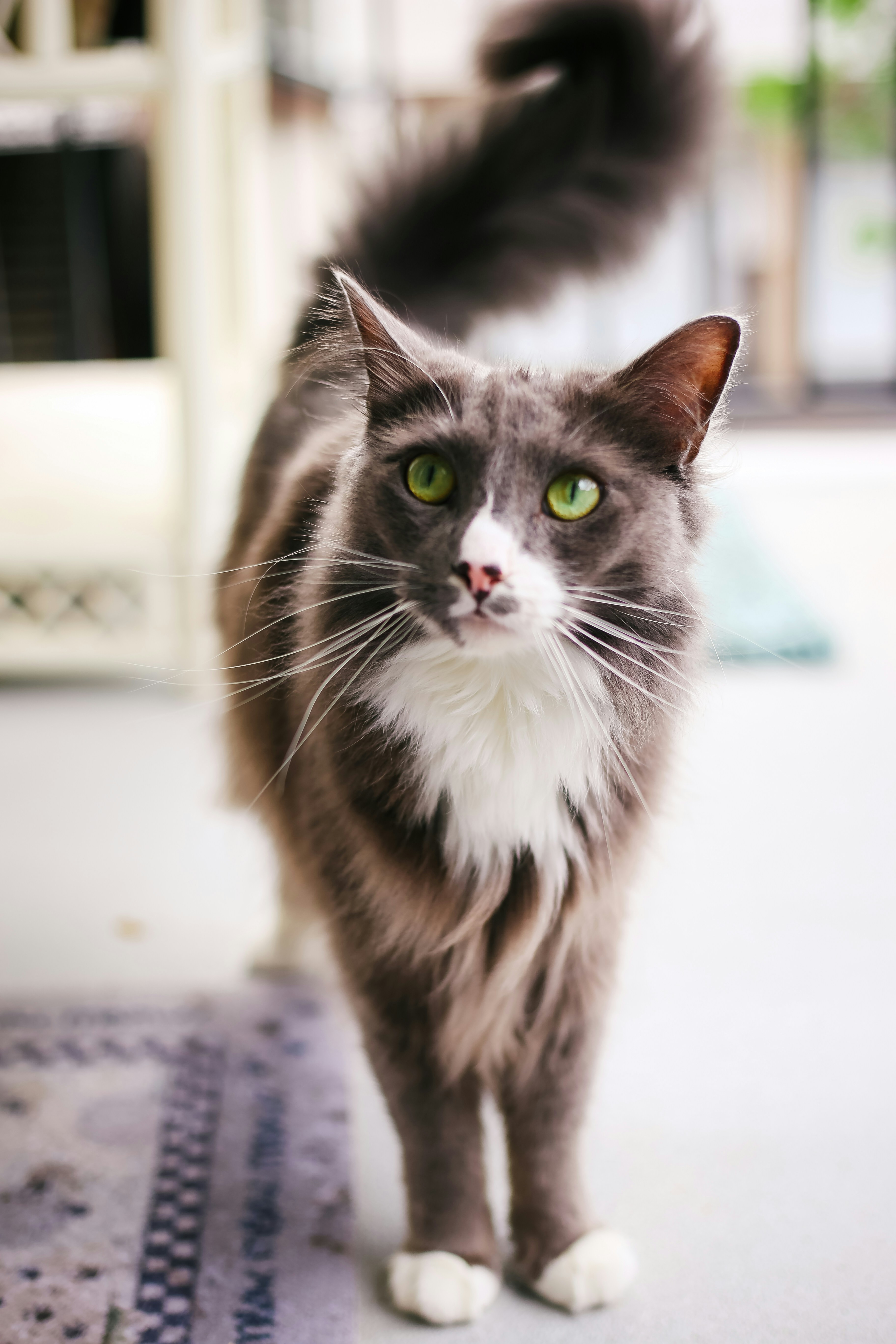 Photo by anicolephotollc