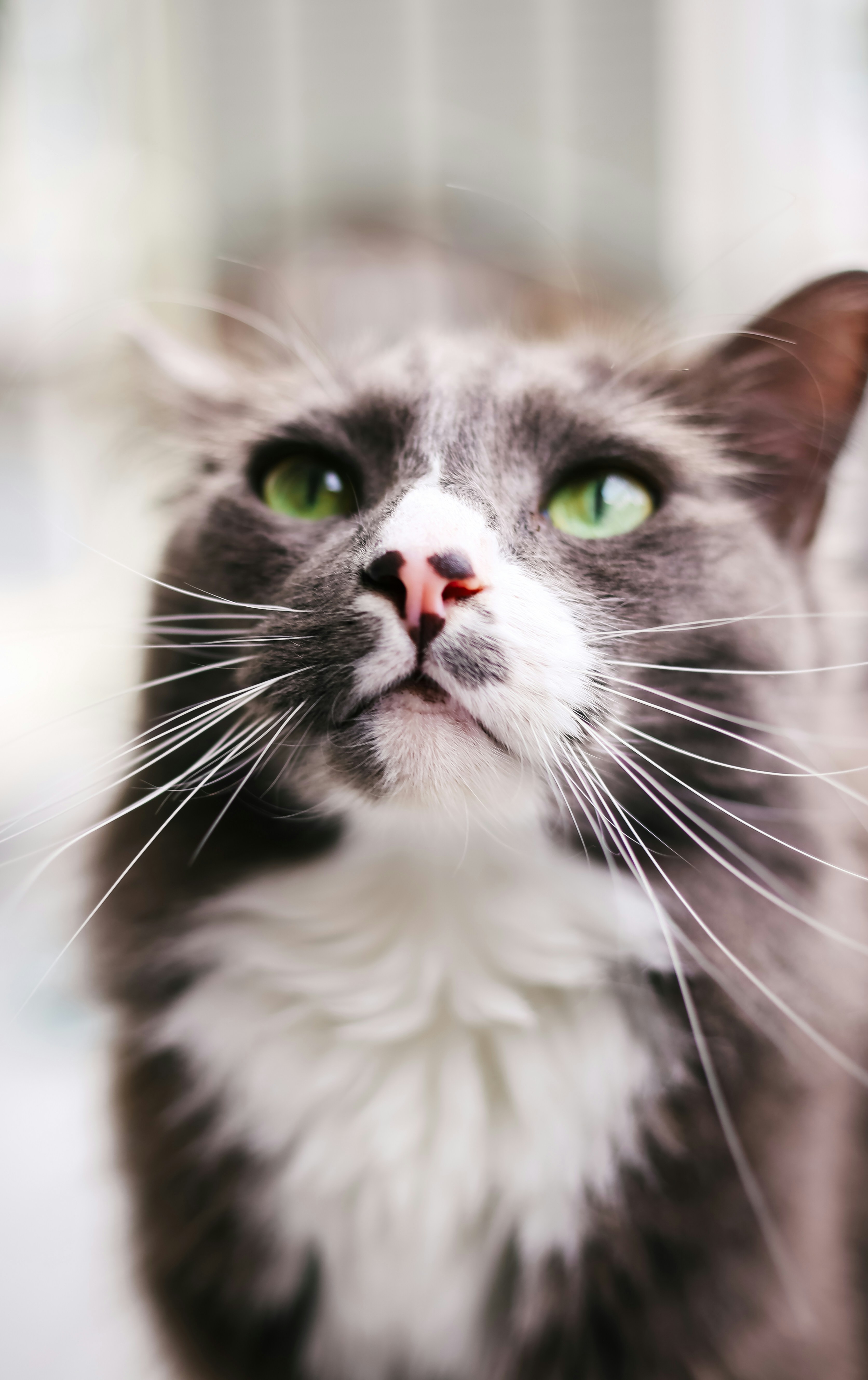 Photo by anicolephotollc