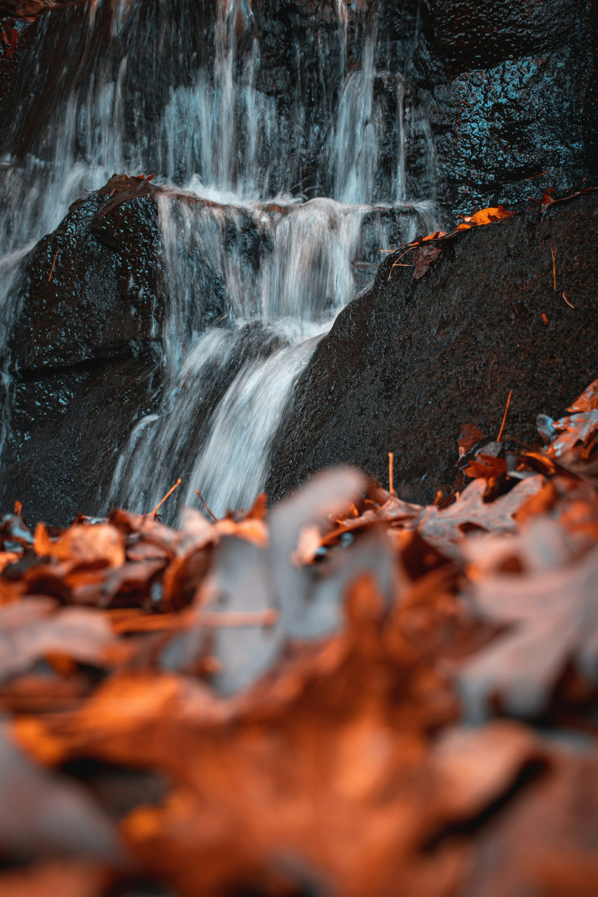 a waterfall with orange leaves