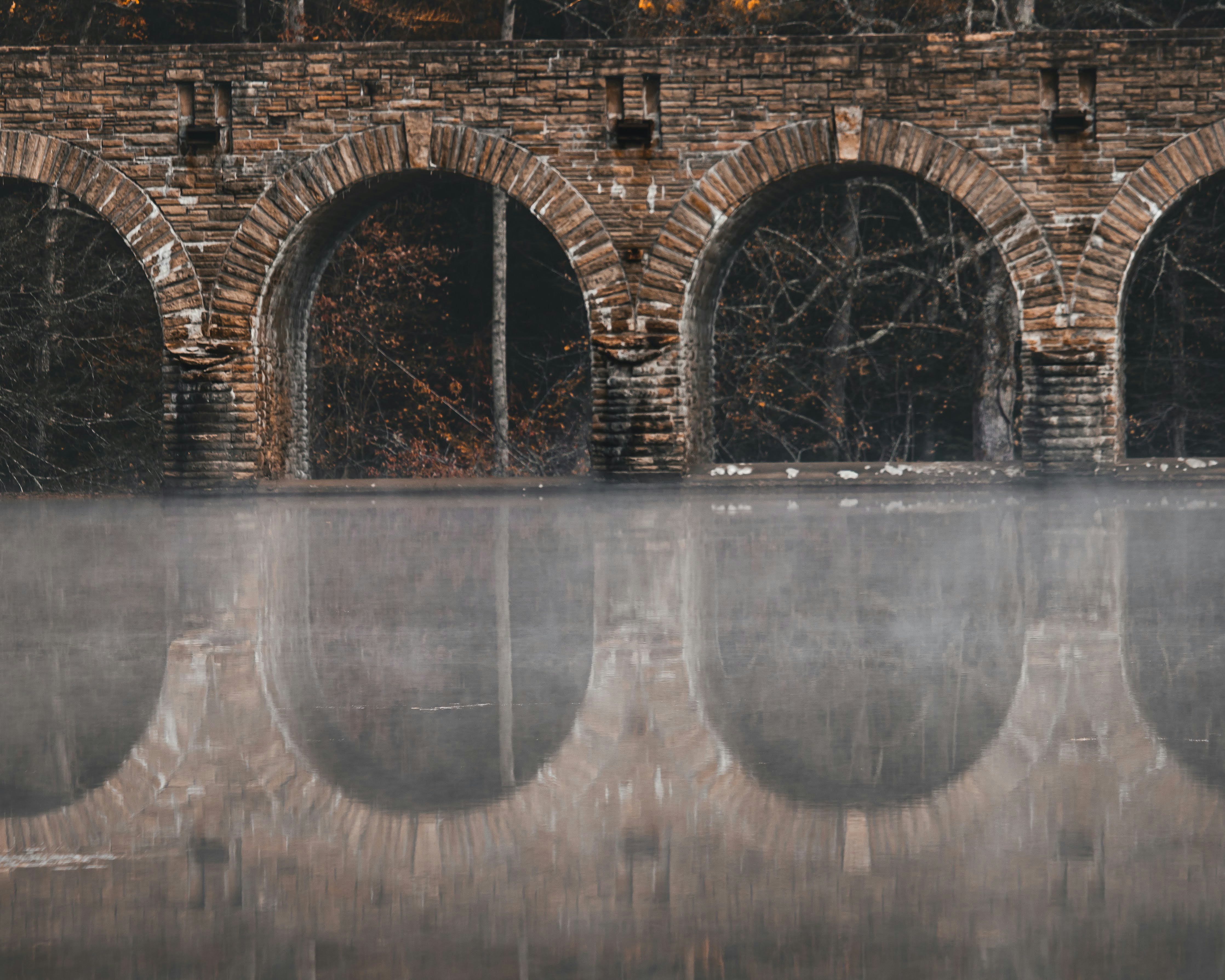 Photo by brice_cooper18