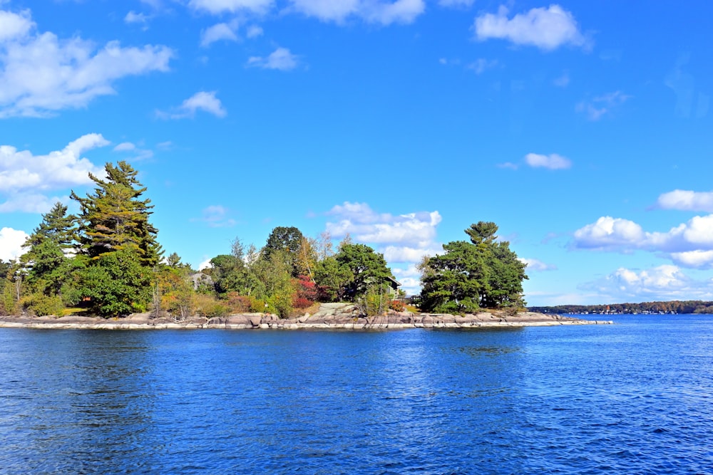 a body of water with trees on the shore
