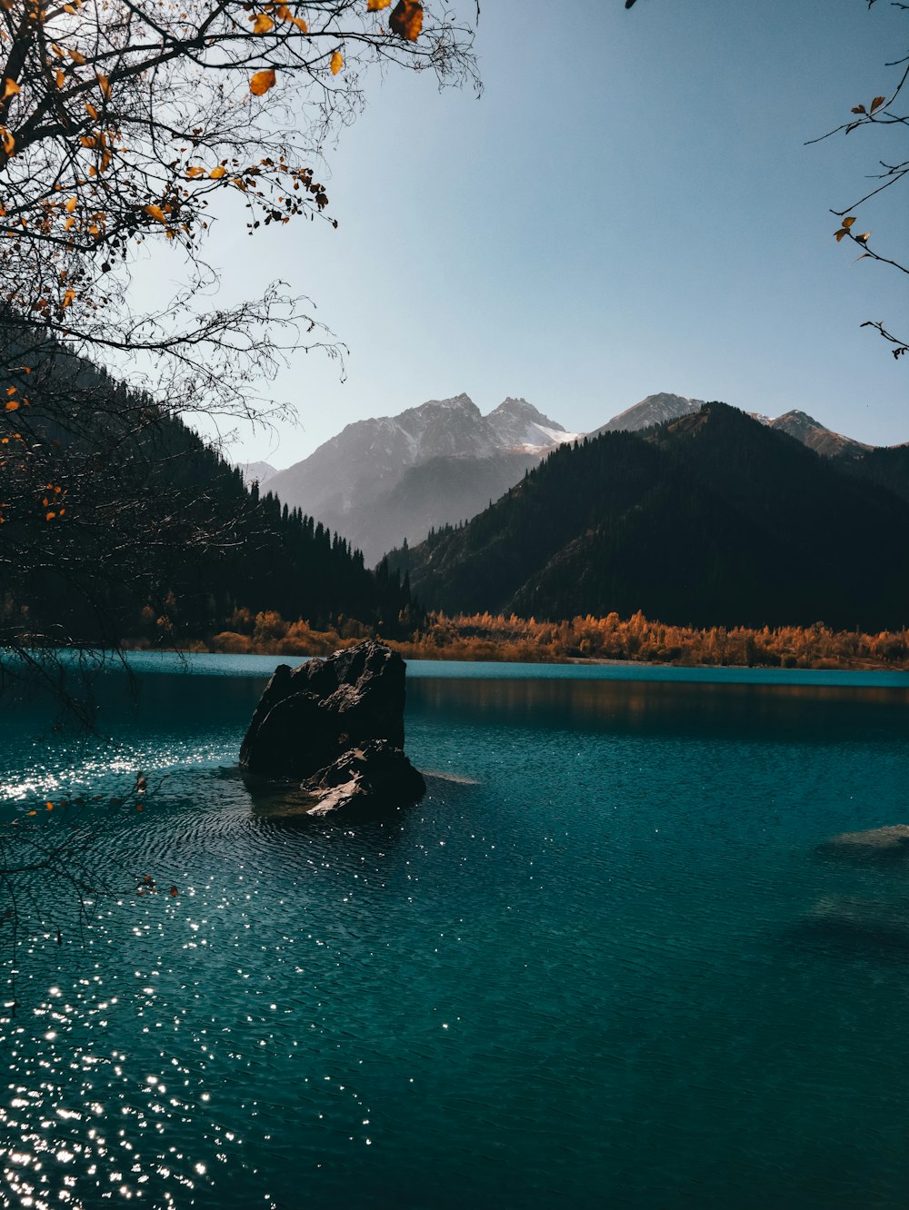 a body of water with a rock in it and trees around it