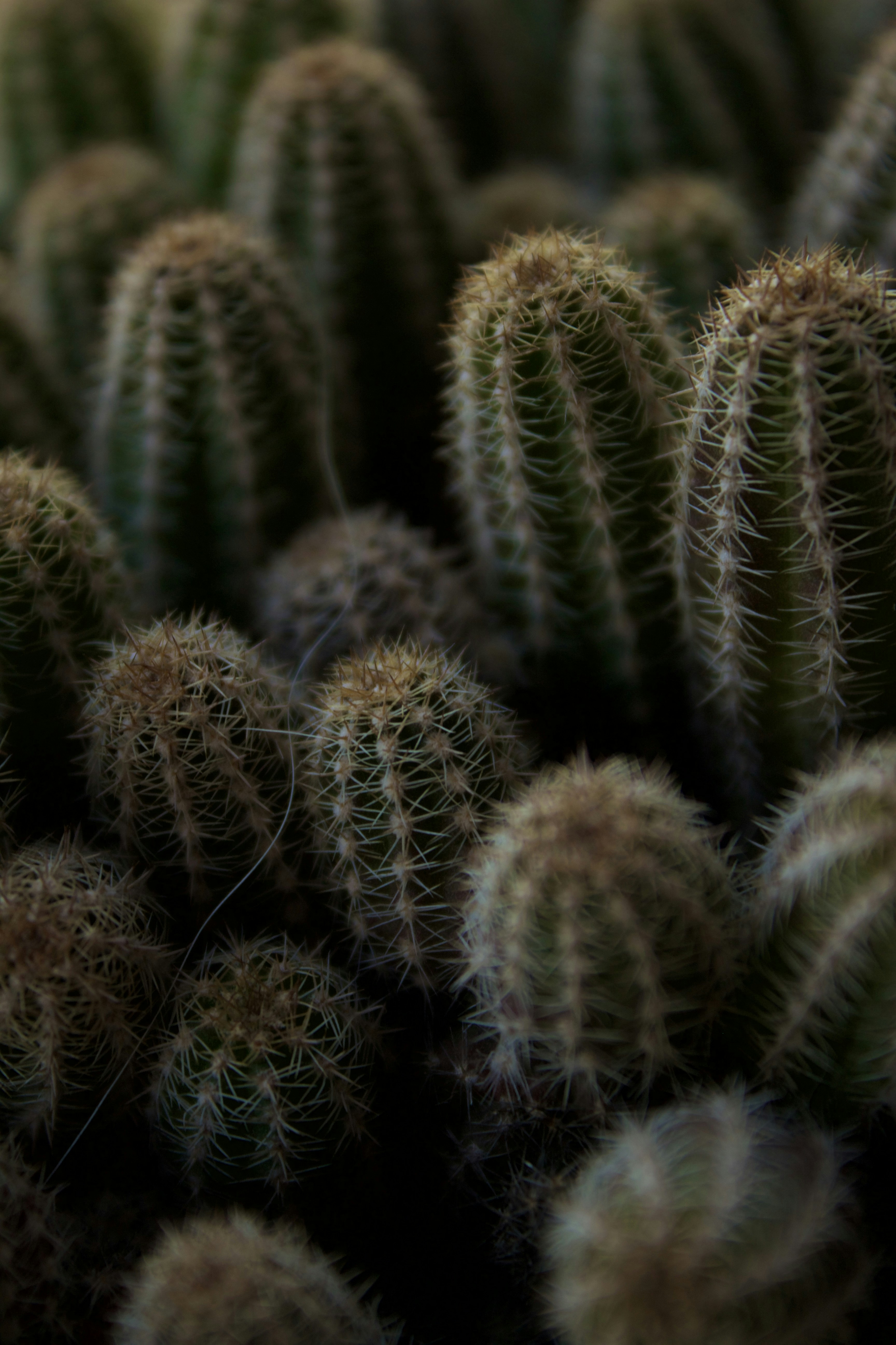 Photo by photosbyedoardo