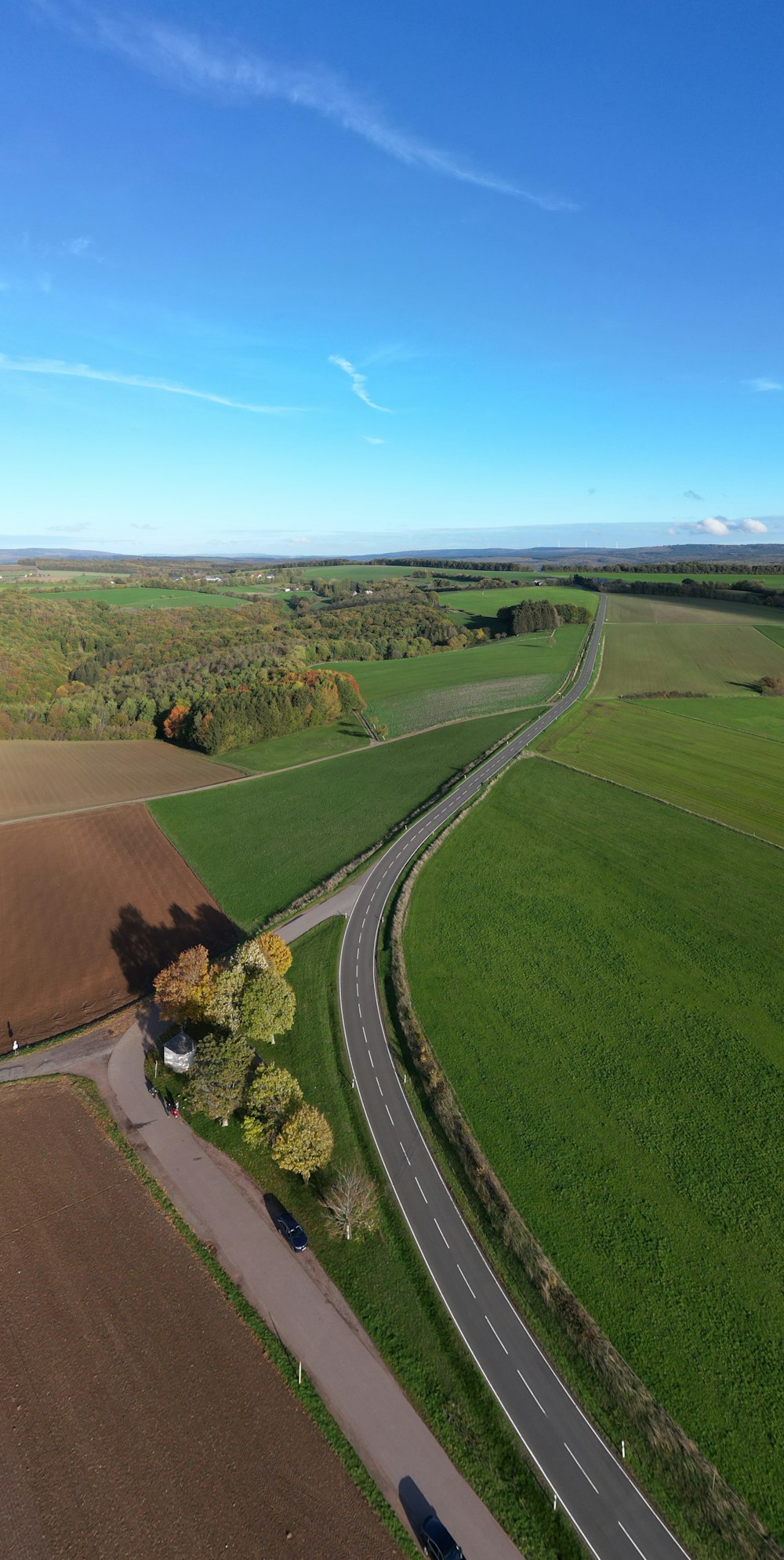 una strada con erba e alberi sul lato