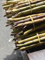 Bundles of green and brown sugarcane stalks are tied together with yellow twine, resting on a wooden surface. The stalks are neatly cut and highlighted by natural sunlight.