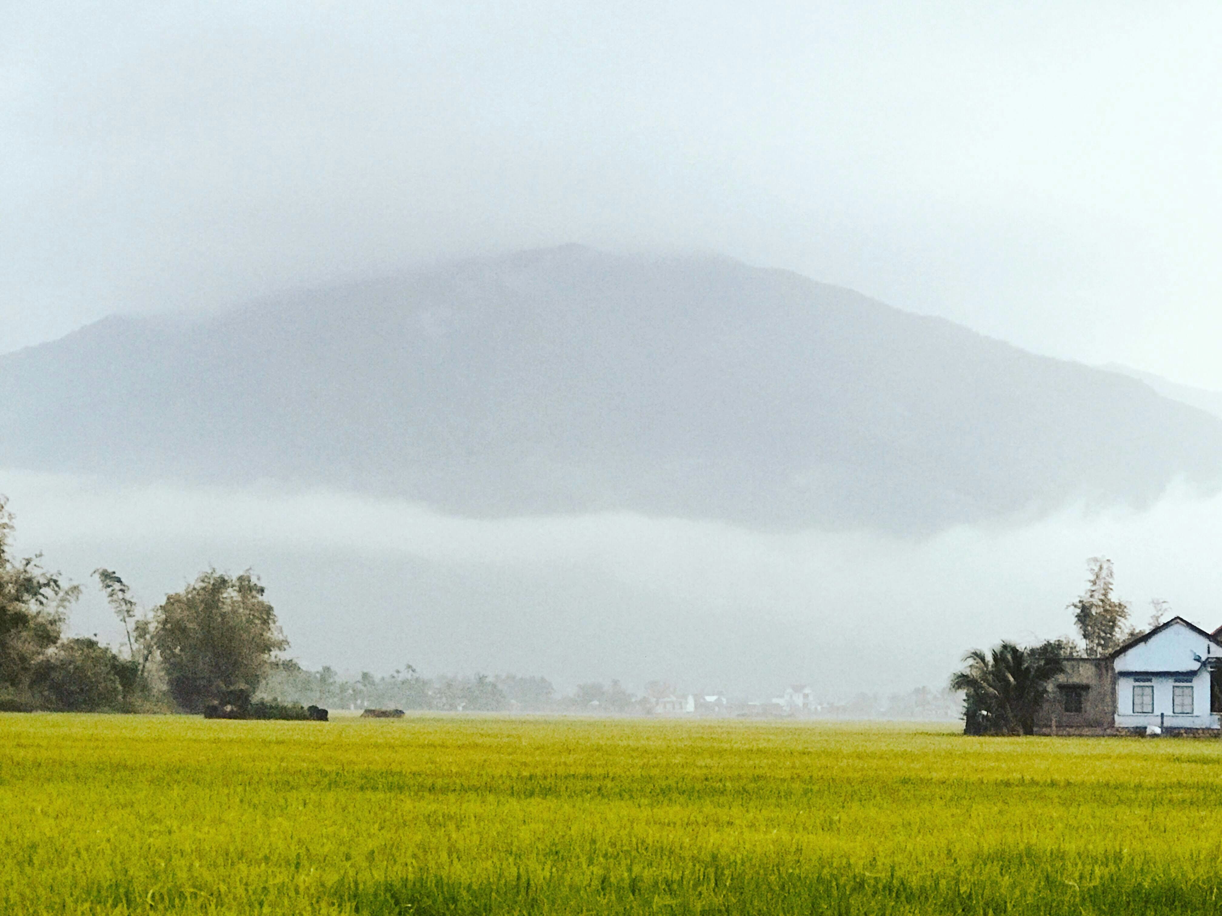 Photo by luan_pham109