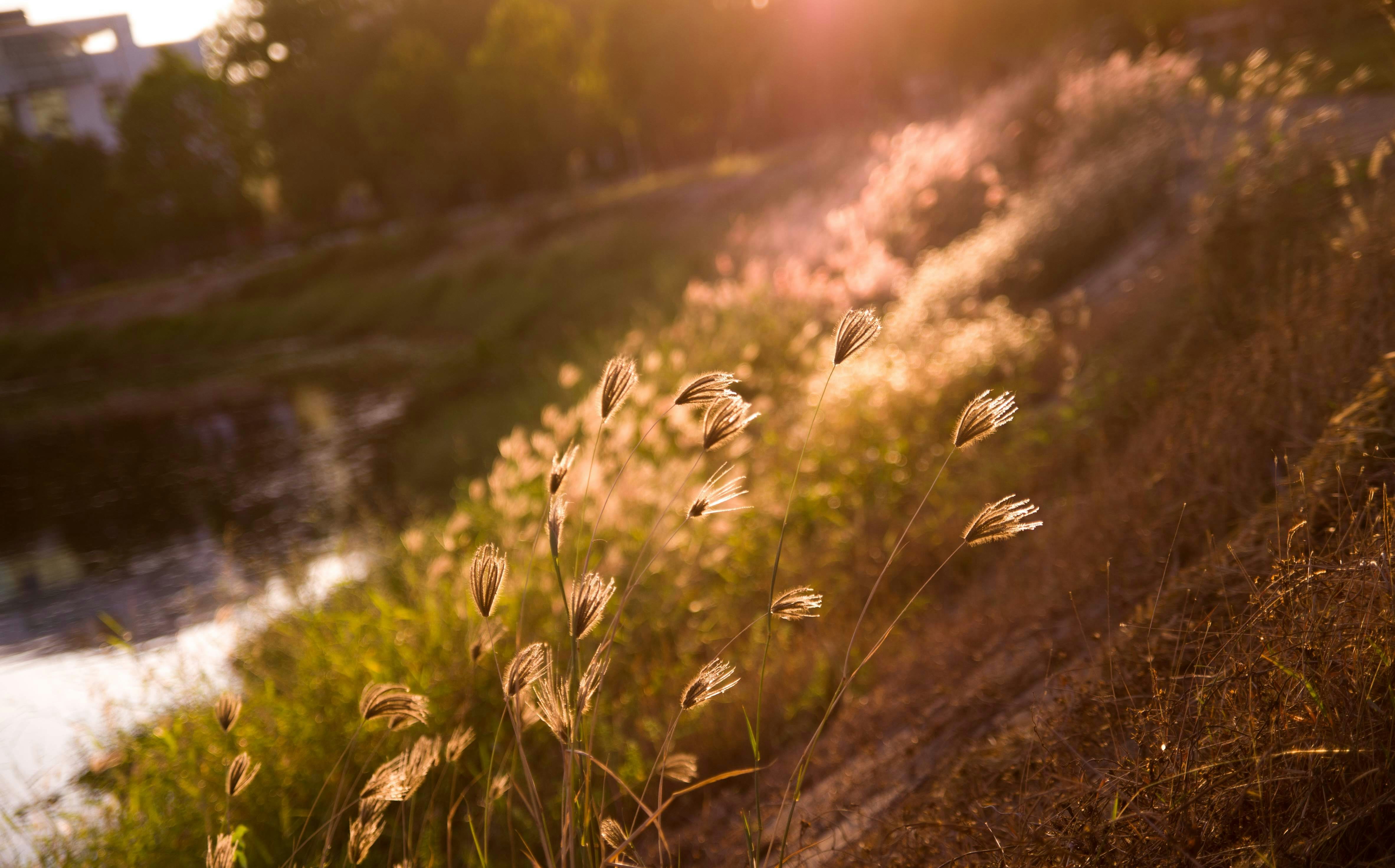 Photo by luan_pham109