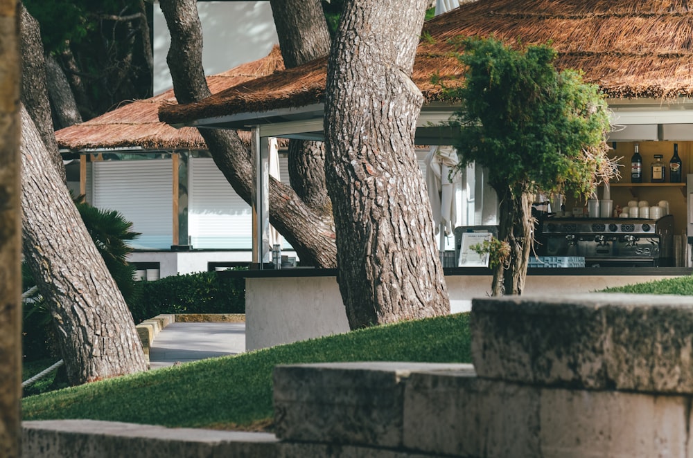 a tree in front of a house