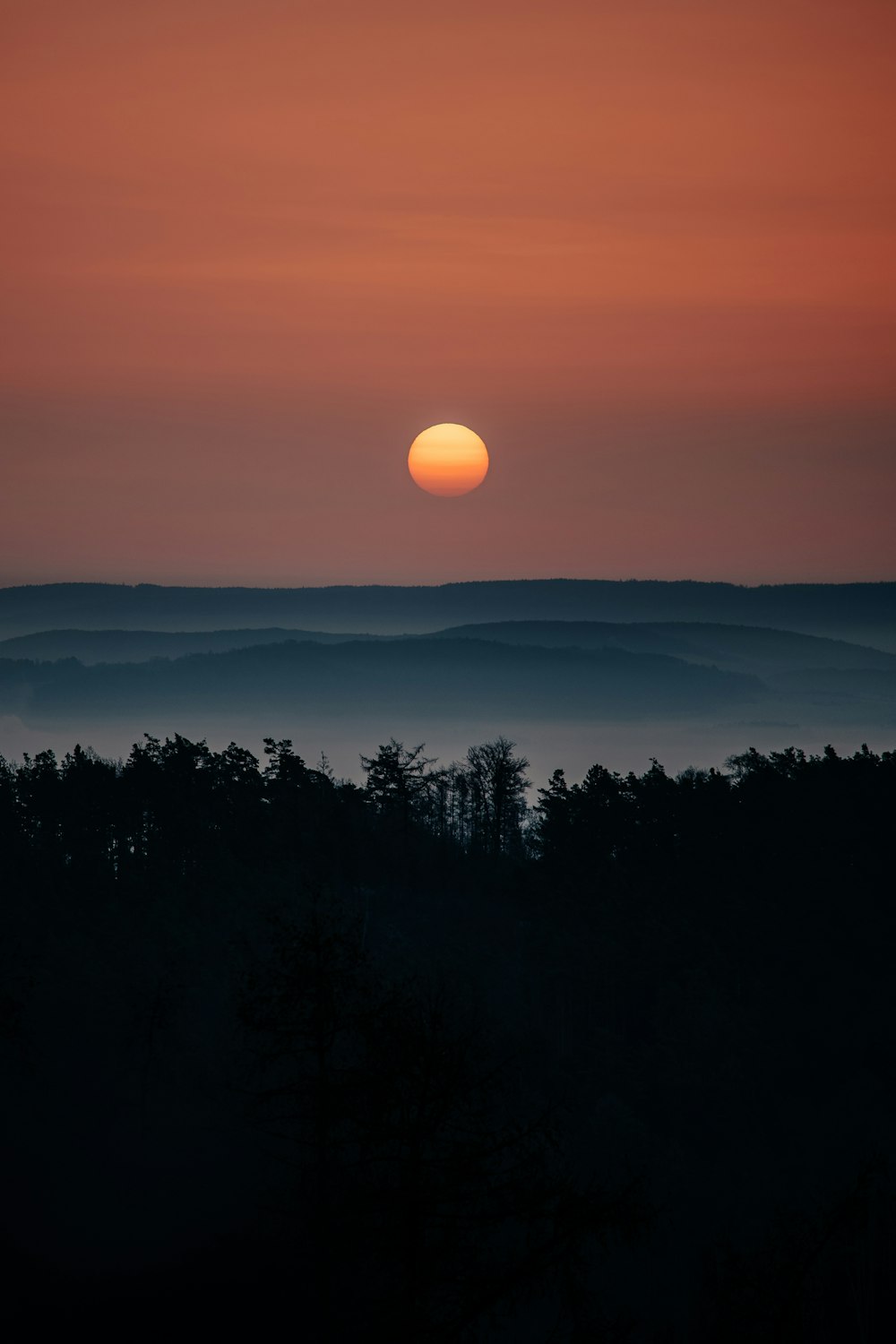 a sunset over a forest