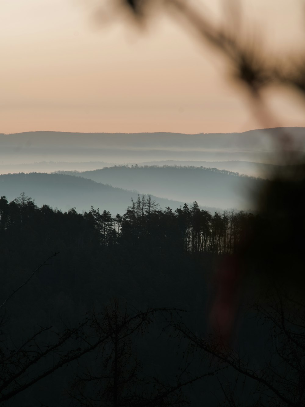 a view of a forest and a lake