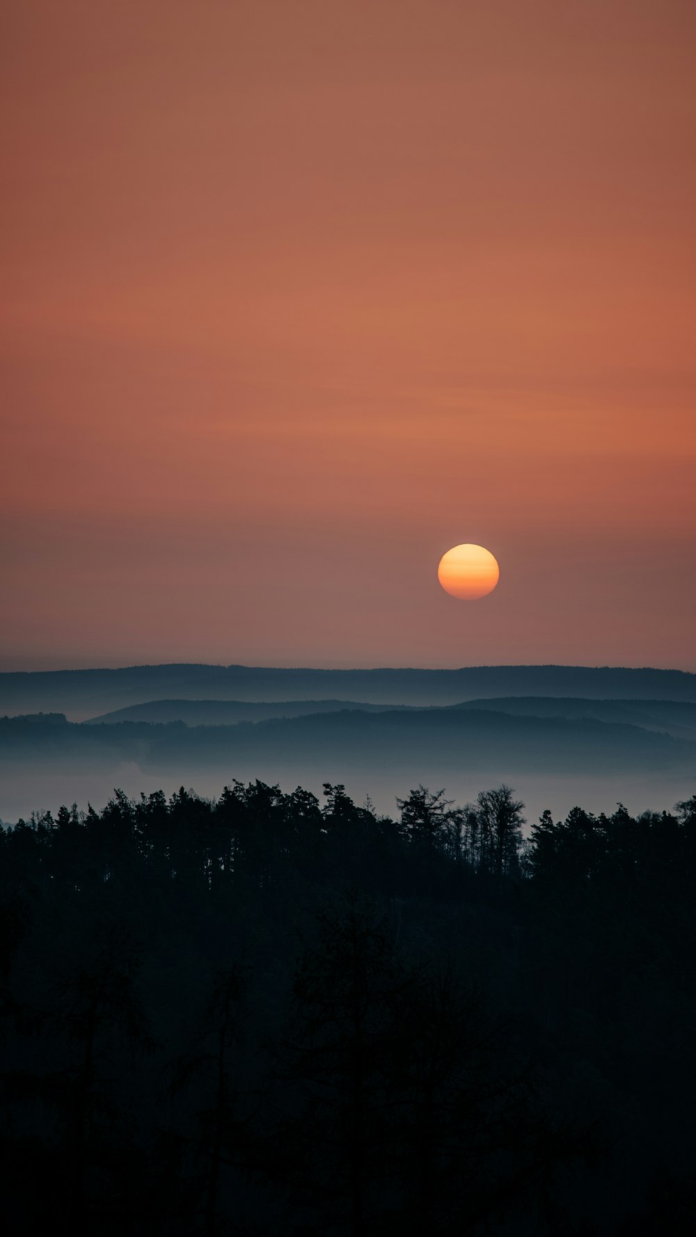 a sunset over a forest