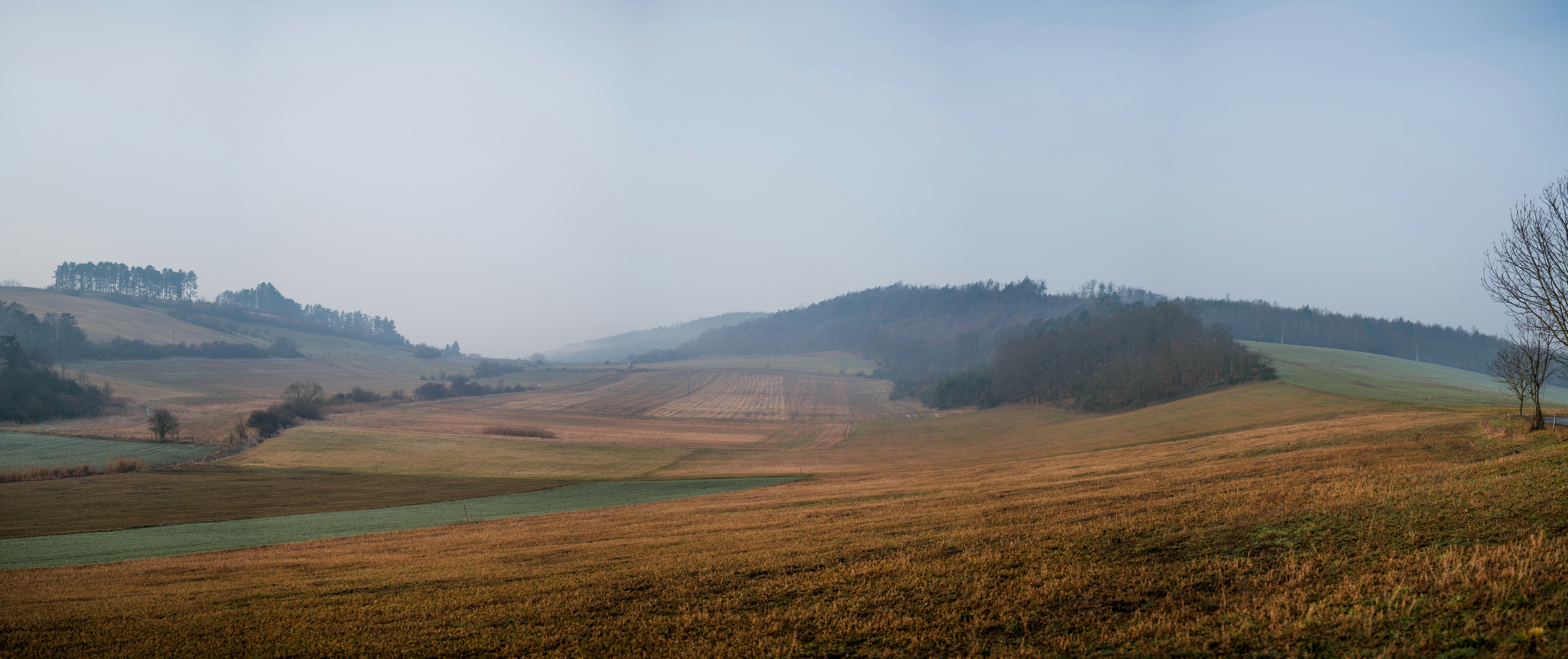 Photo by honzareznik