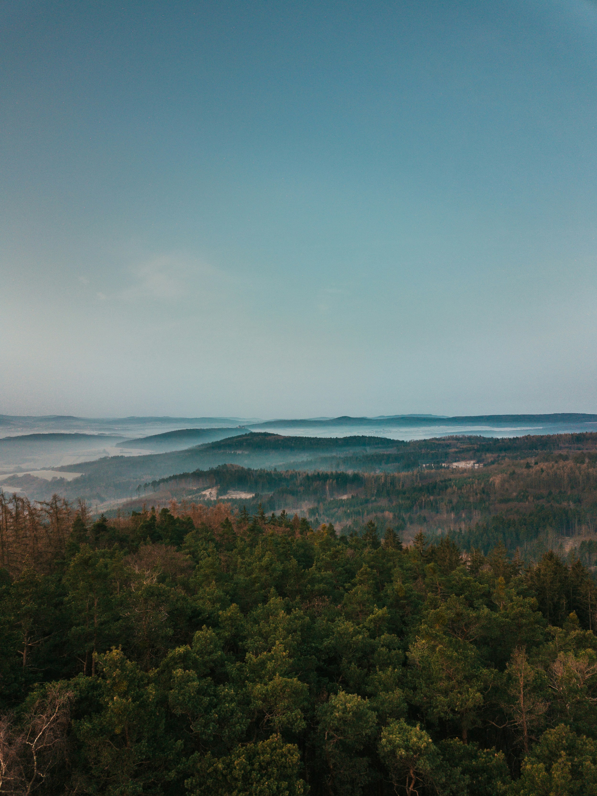 Photo by honzareznik