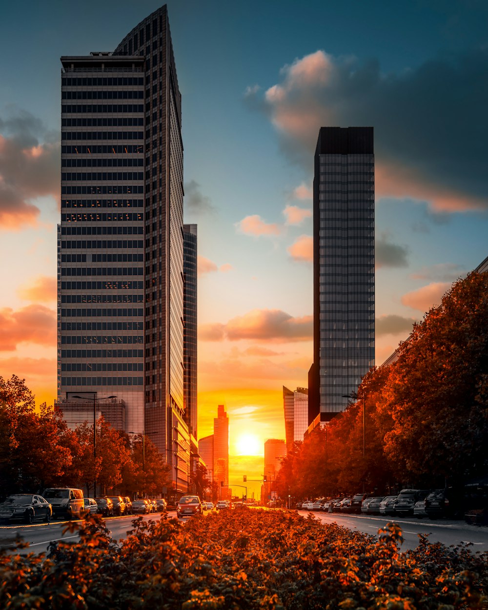 a couple of tall buildings with trees and cars in front of them